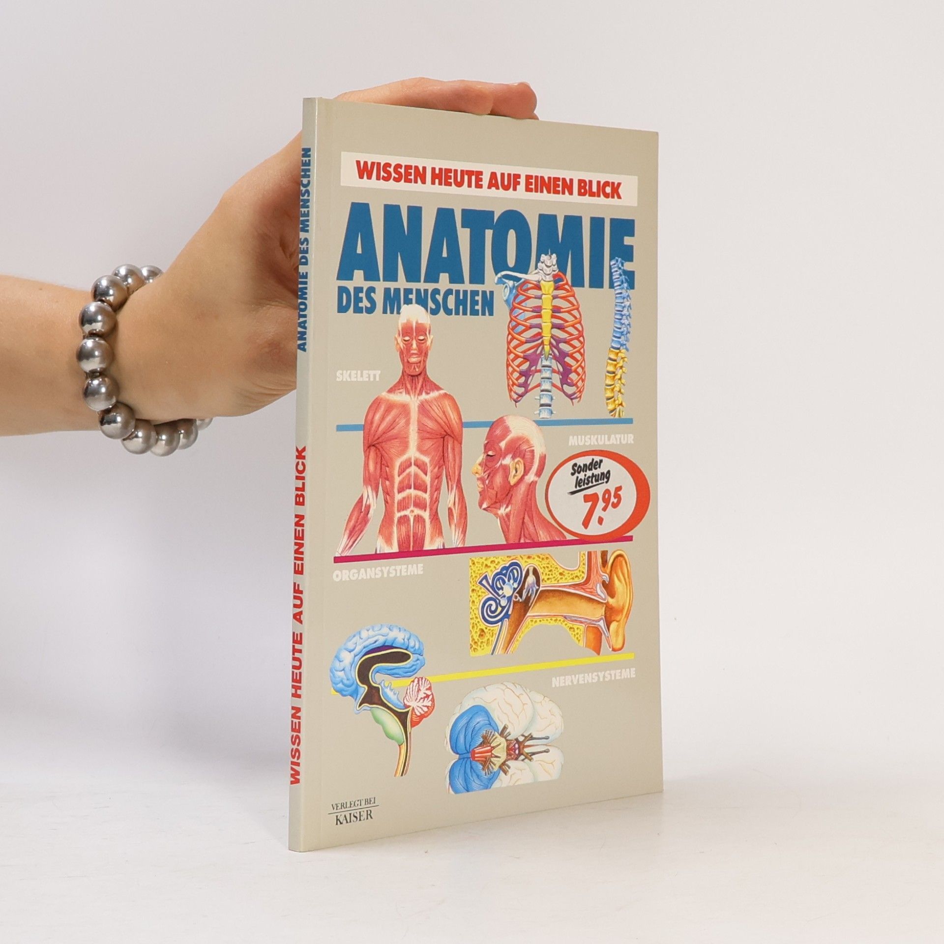 Autorenkollektiv Anatomie des Menschen