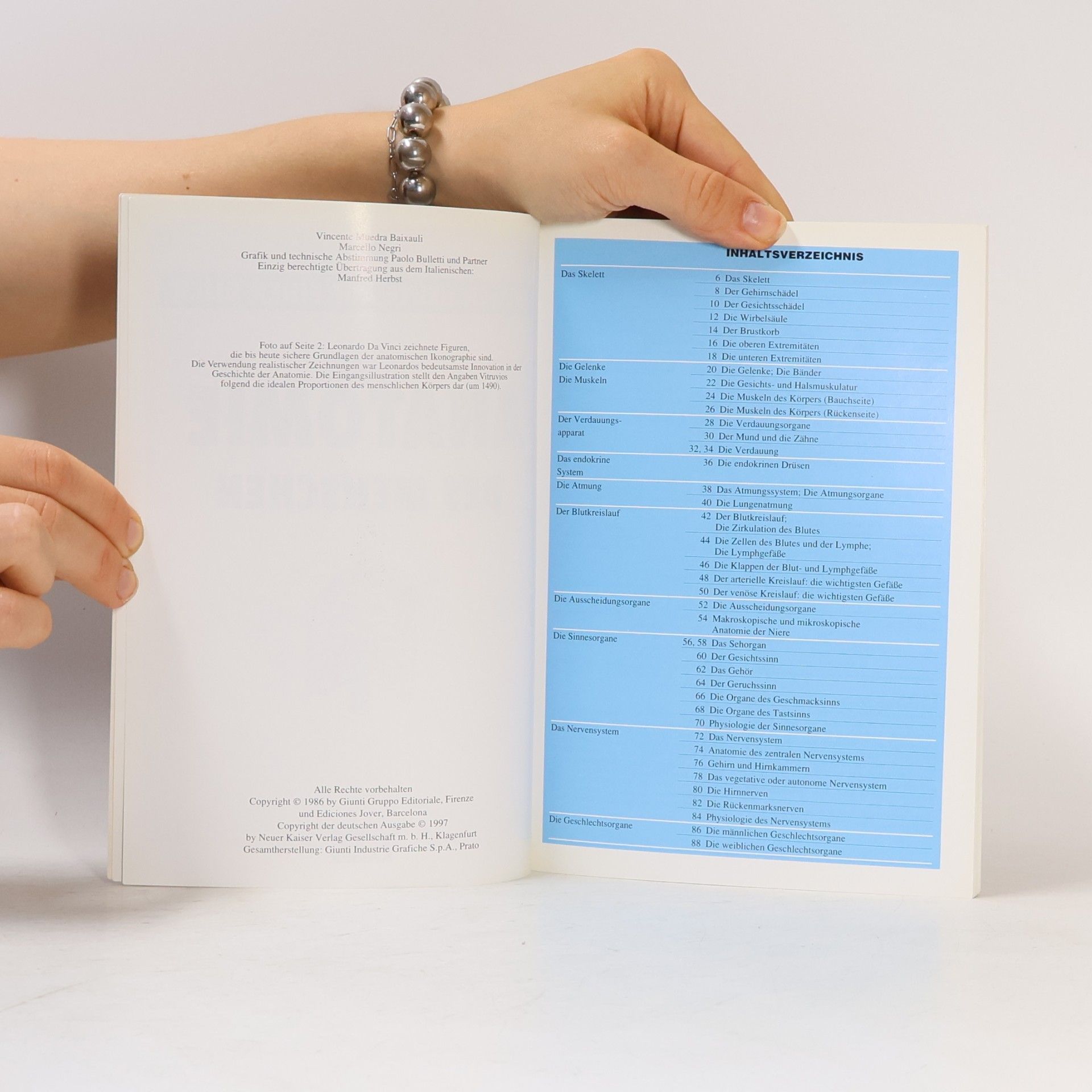 Autorenkollektiv Anatomie des Menschen