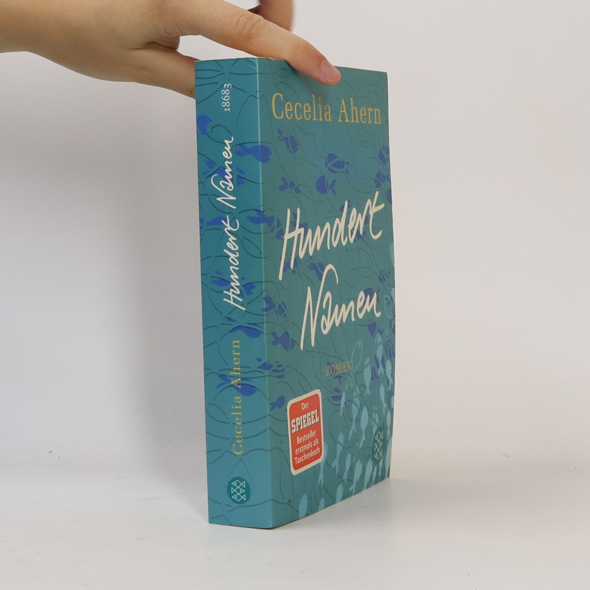 Cecelia Ahern Hundert Namen