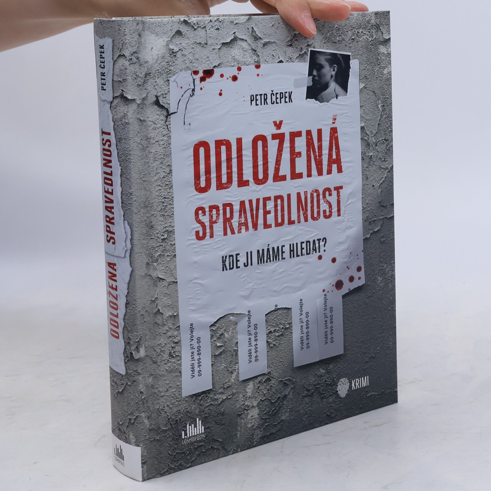 Petr Čepek Odložená spravedlnost