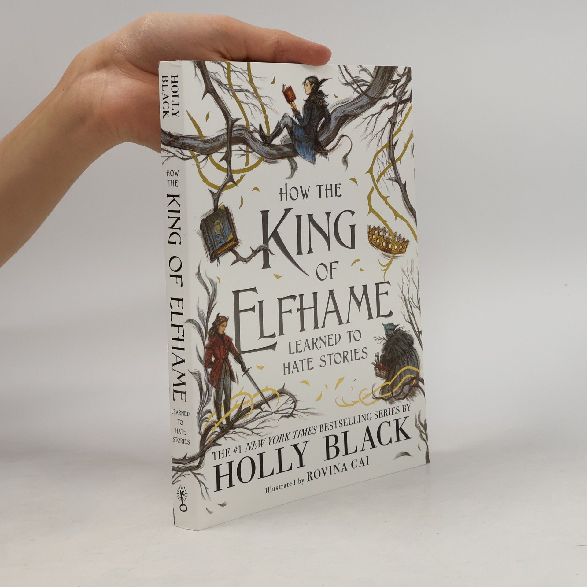 Holly Black How the King of Elfhame learned to hate stories