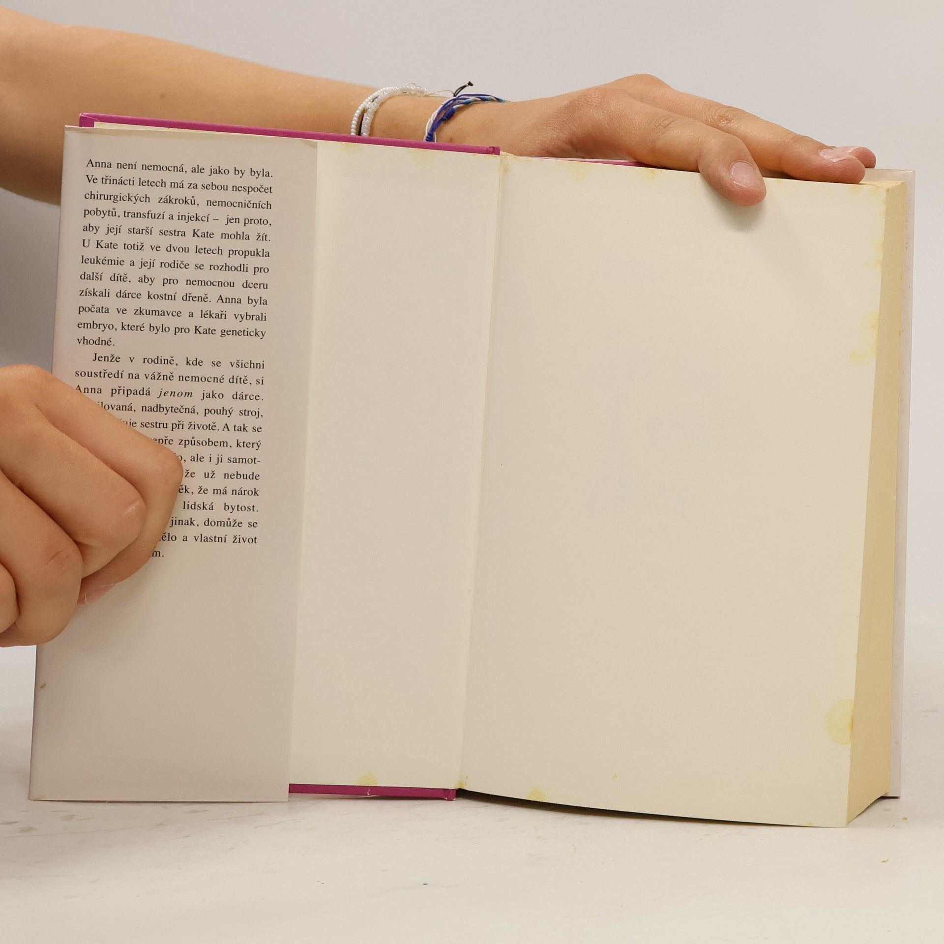 Jodi Picoult Je to i můj život