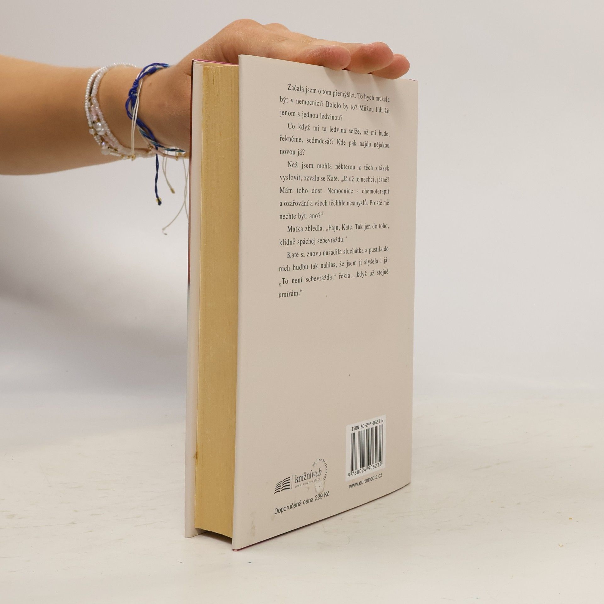 Jodi Picoult Je to i můj život