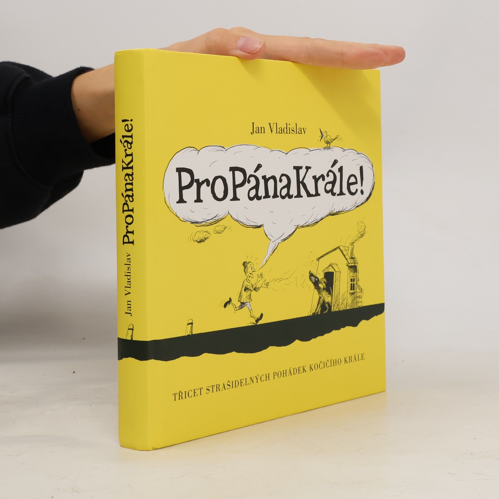 Lenka Jasanská ProPánaKrále! : [třicet strašidelných pohádek kočičího krále]