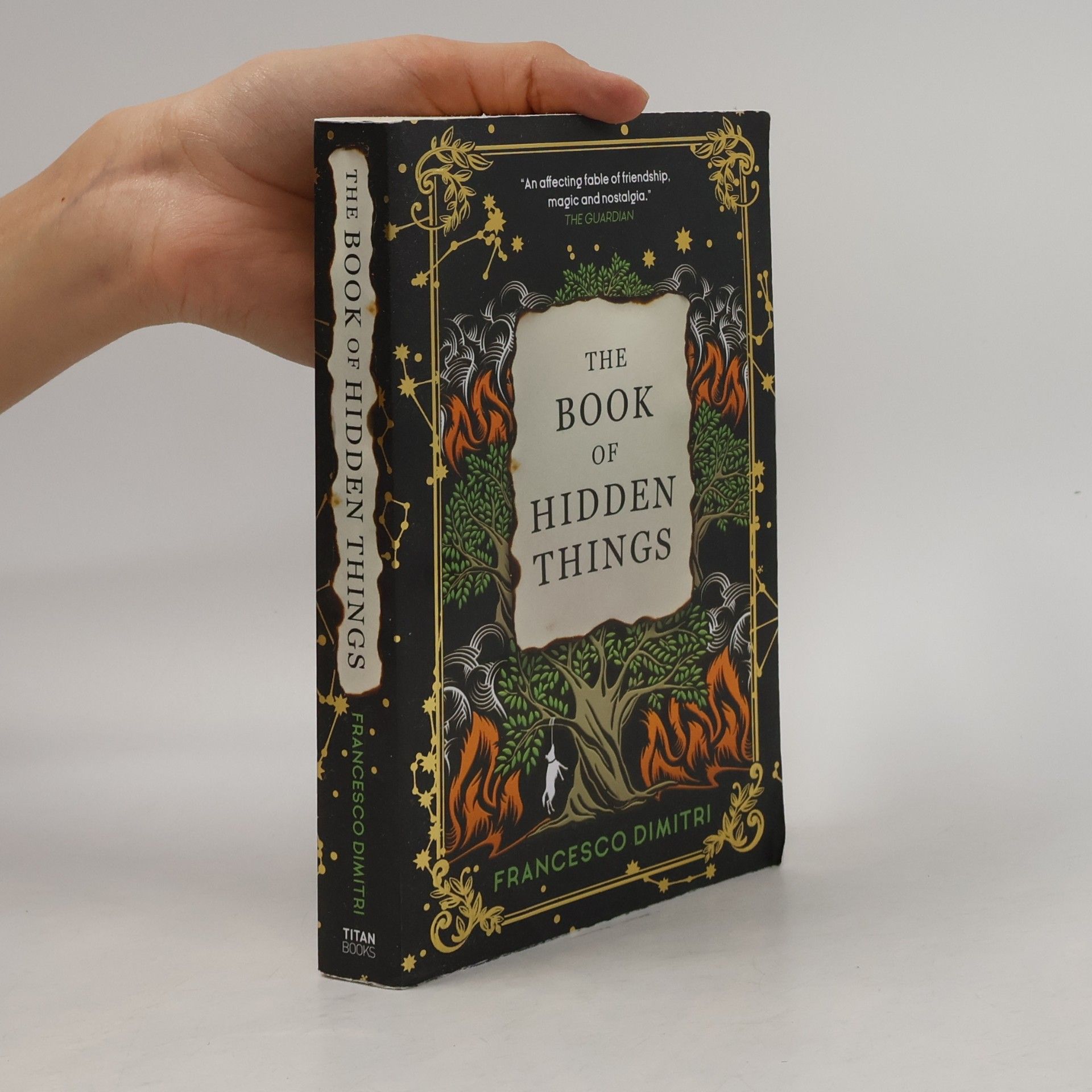 Francesco Dimitri The Book of Hidden Things