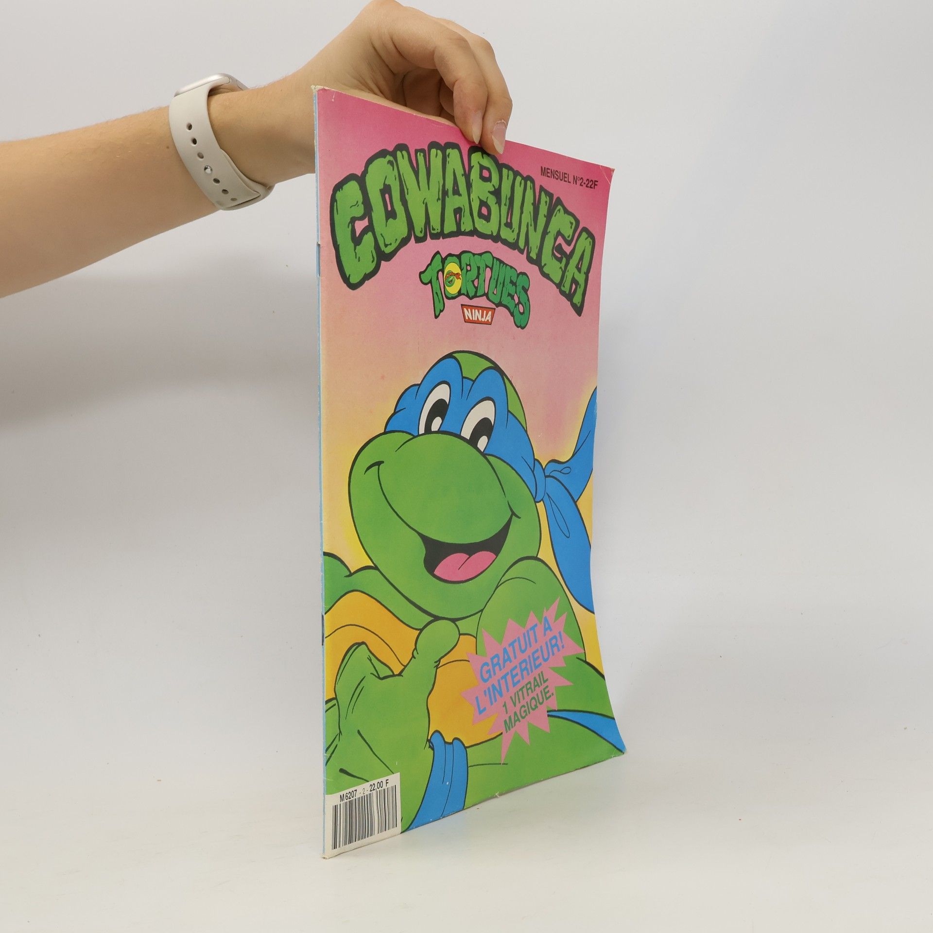 Autorenkollektiv Cowabunga Tortues Ninja
