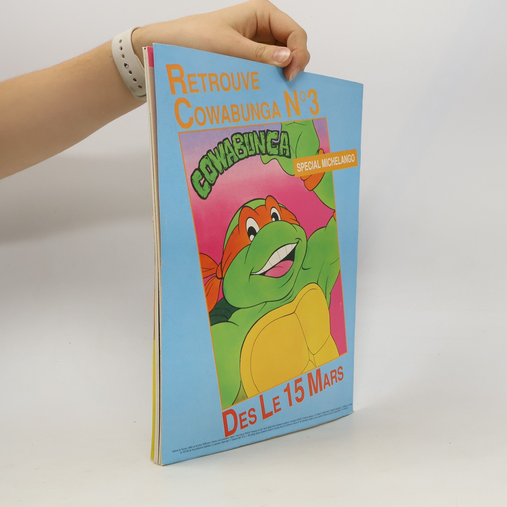 Autorenkollektiv Cowabunga Tortues Ninja