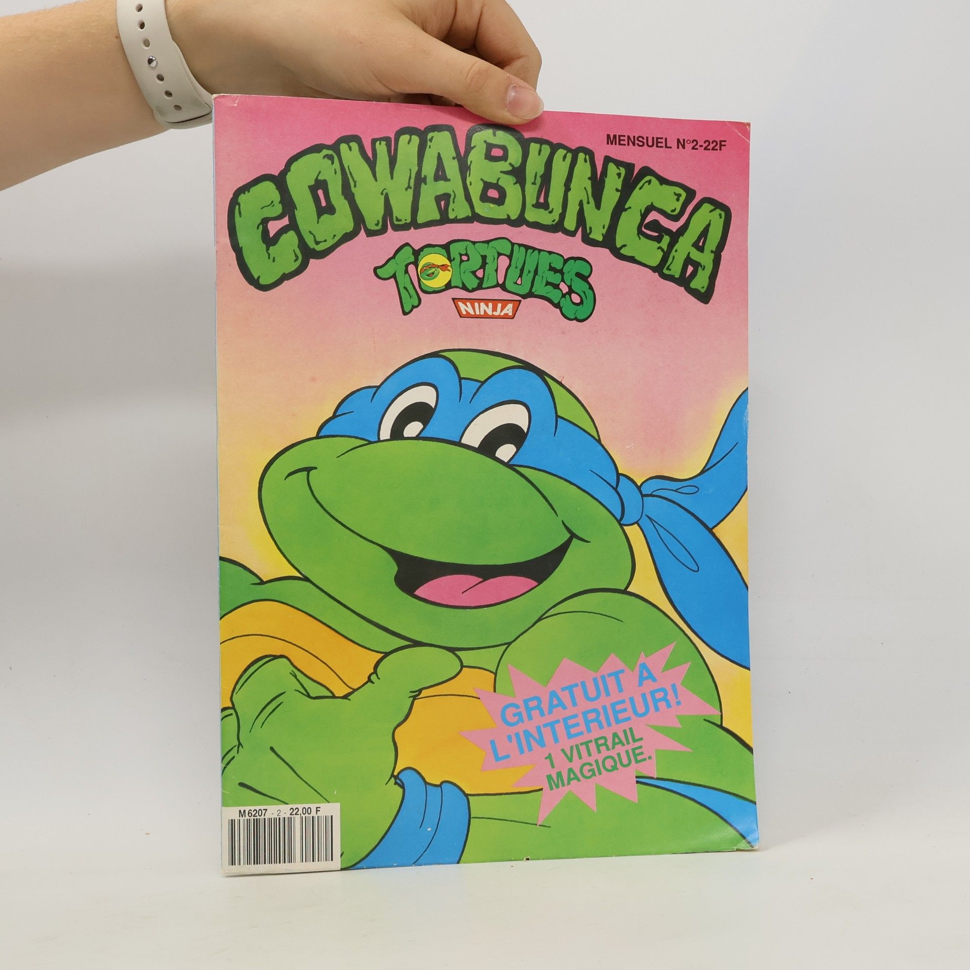 Autorenkollektiv Cowabunga Tortues Ninja