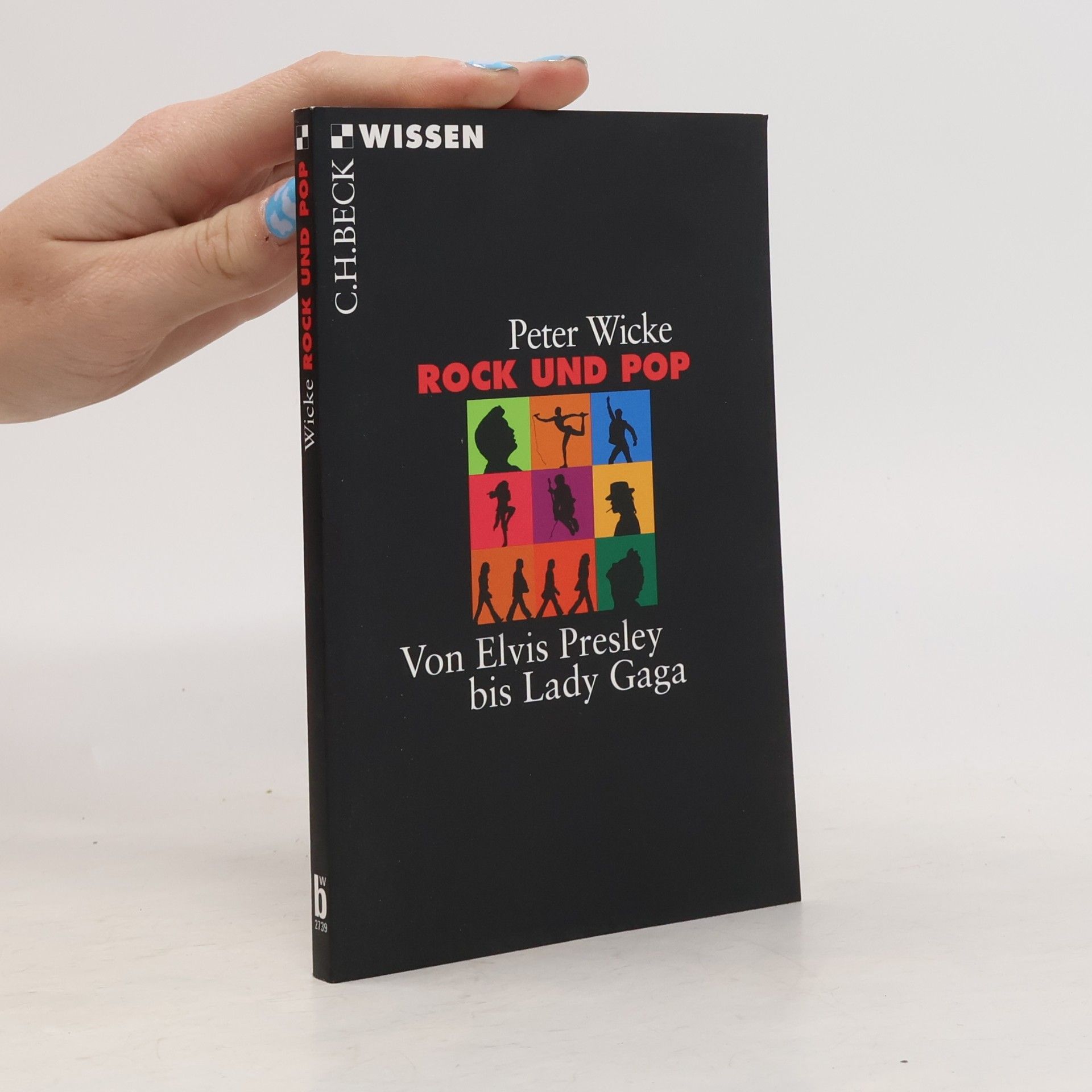 Peter Wicke Rock und Pop