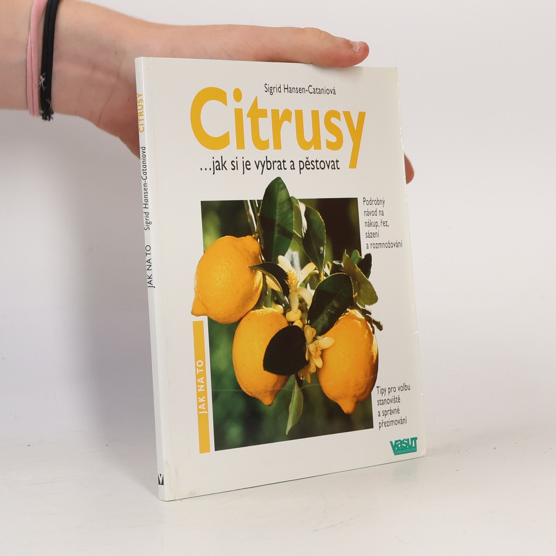 Sigrid HansenCatani Citrusy