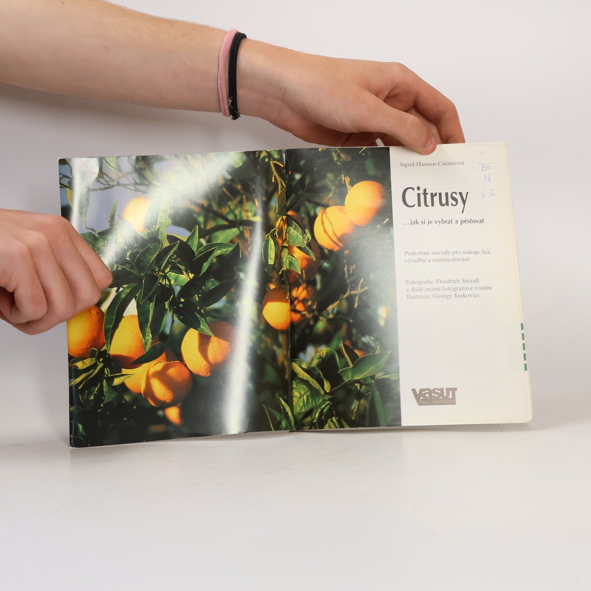 Sigrid HansenCatani Citrusy