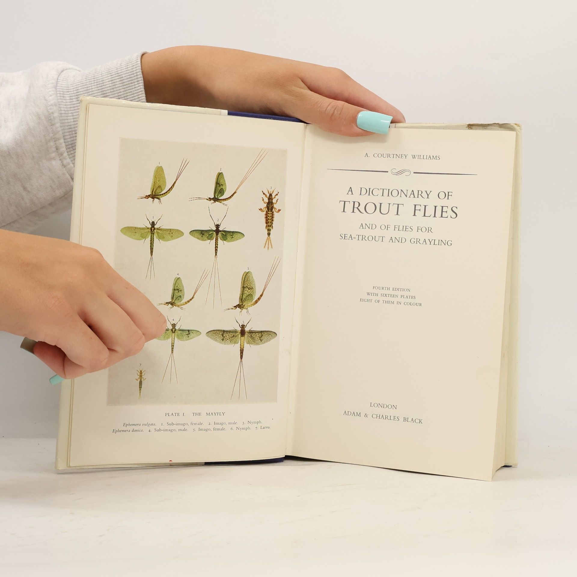Alfred Courtney Williams A Dictionary of Trout Flies and of Flies for Sea-Trout and Grayling