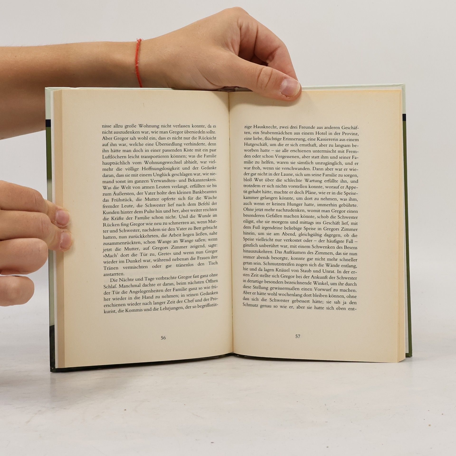 Franz Kafka Die Verwandlung