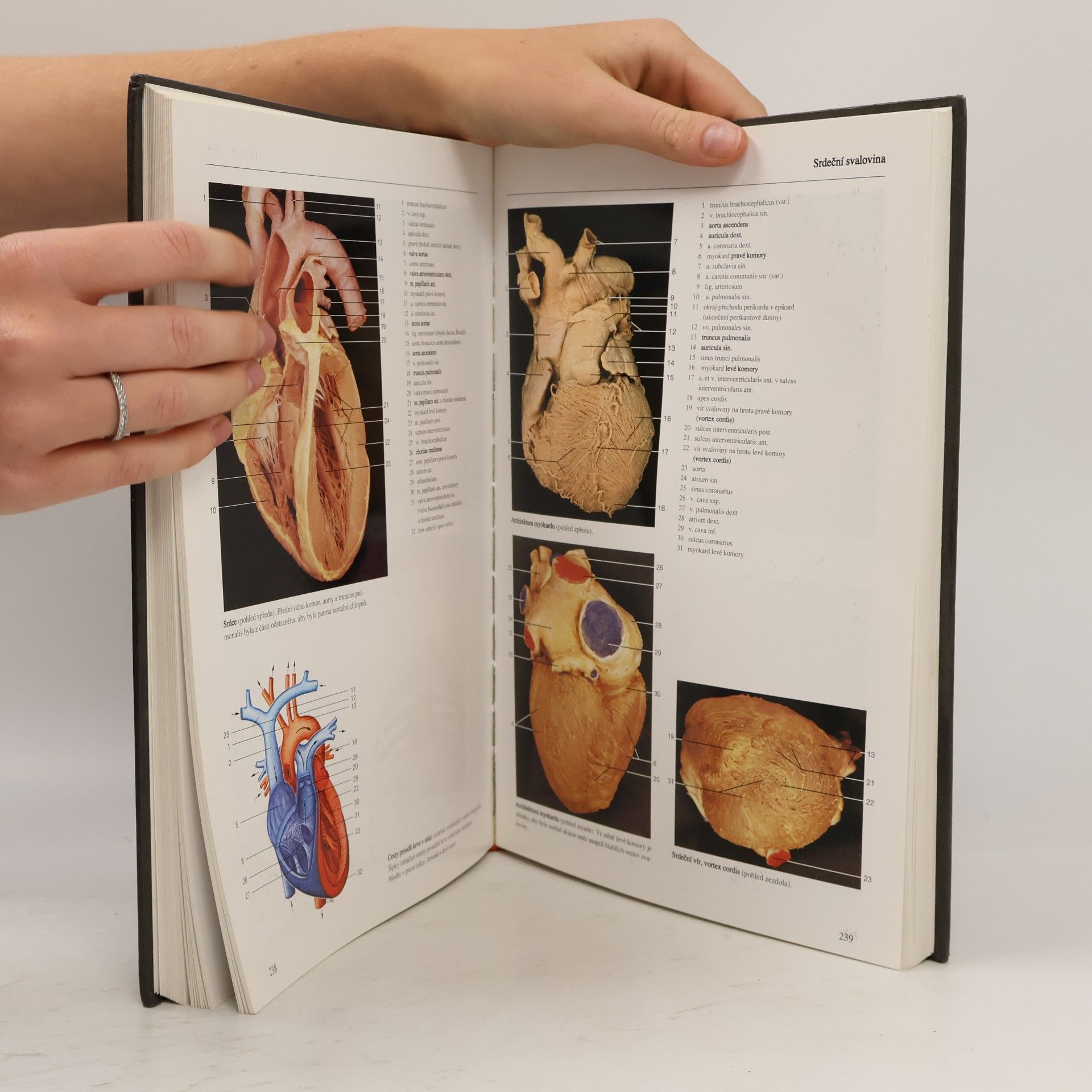 Johannes W. Johannes Wilhelm Rohen Anatomie člověka
