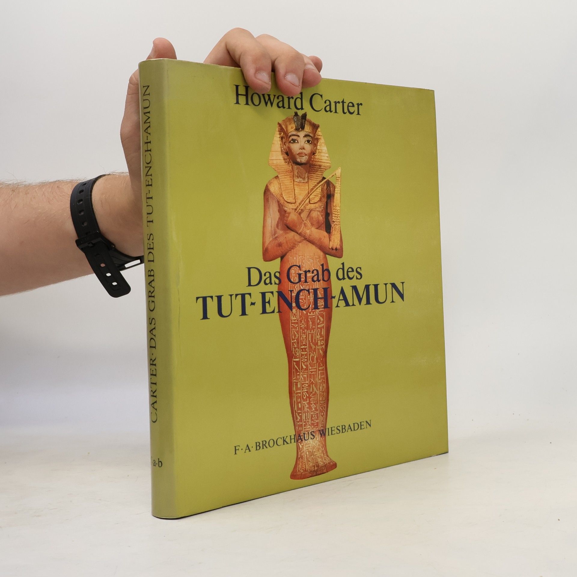 Howard Carter Das Grab des Tut-ench-Amun