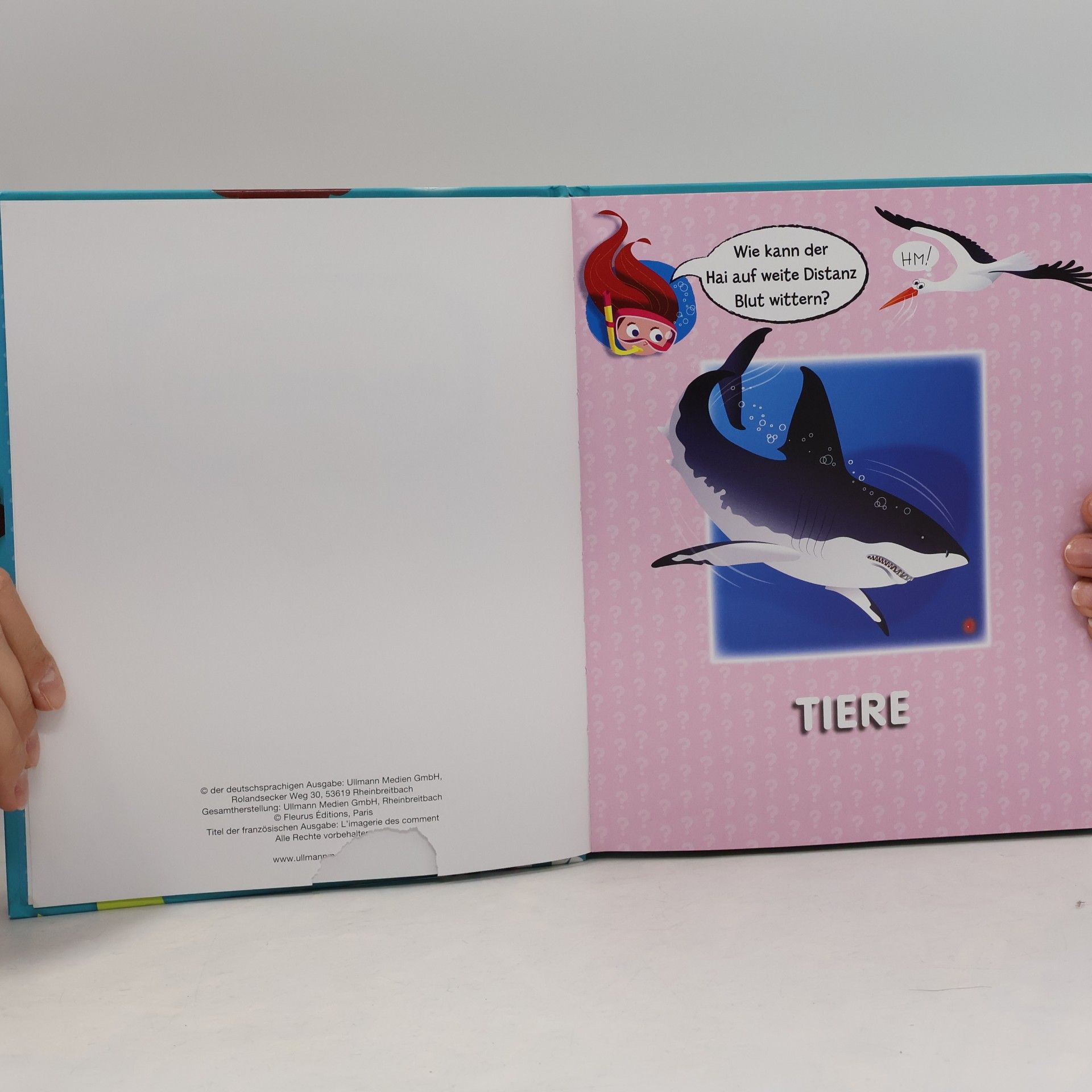 Autorenkollektiv Kinderwissen. Wie geht das?