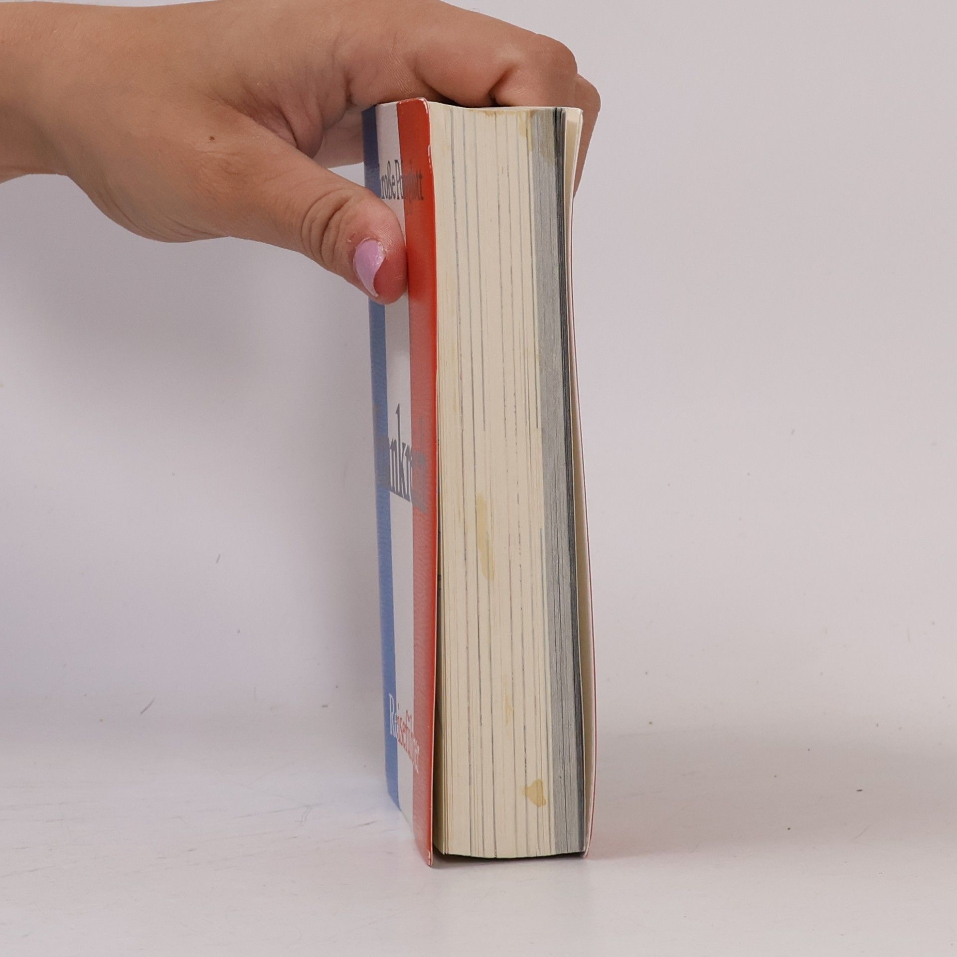 Autores varios Der Große Polyglott Frankreich. Reiseführer