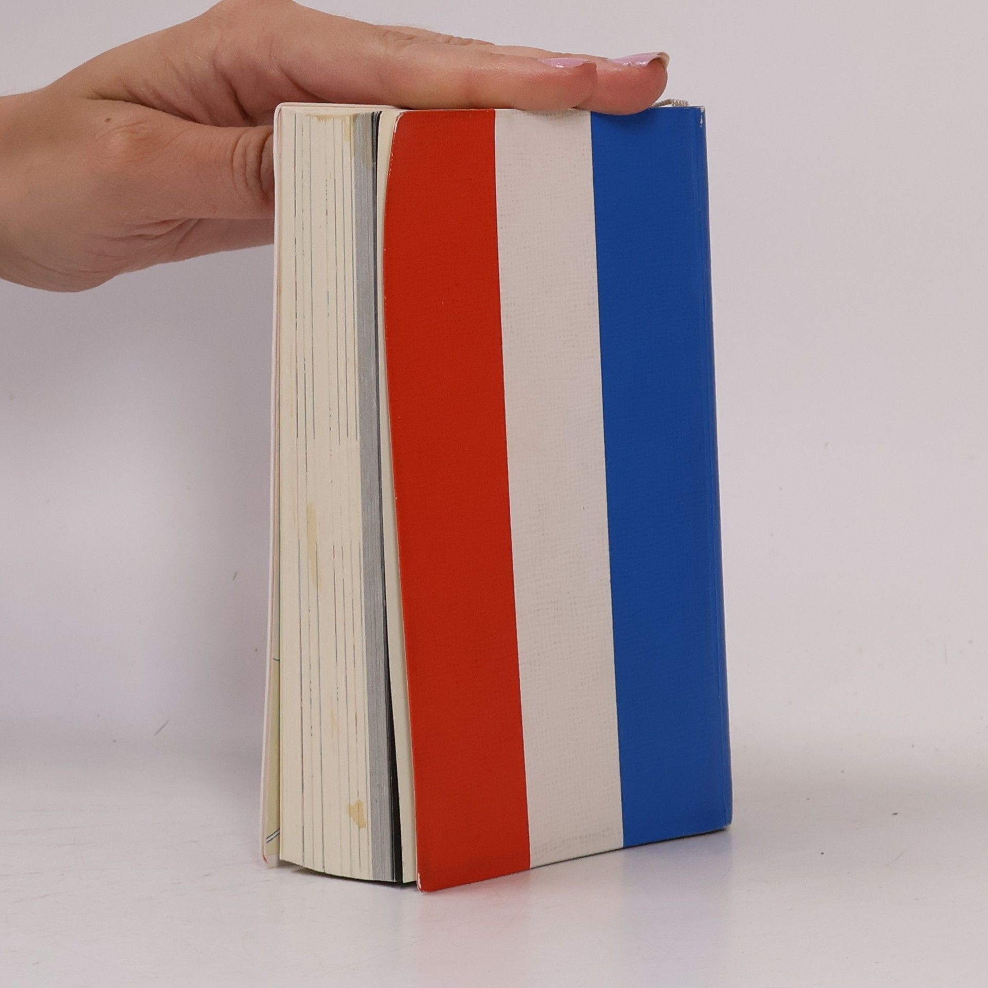 Autores varios Der Große Polyglott Frankreich. Reiseführer