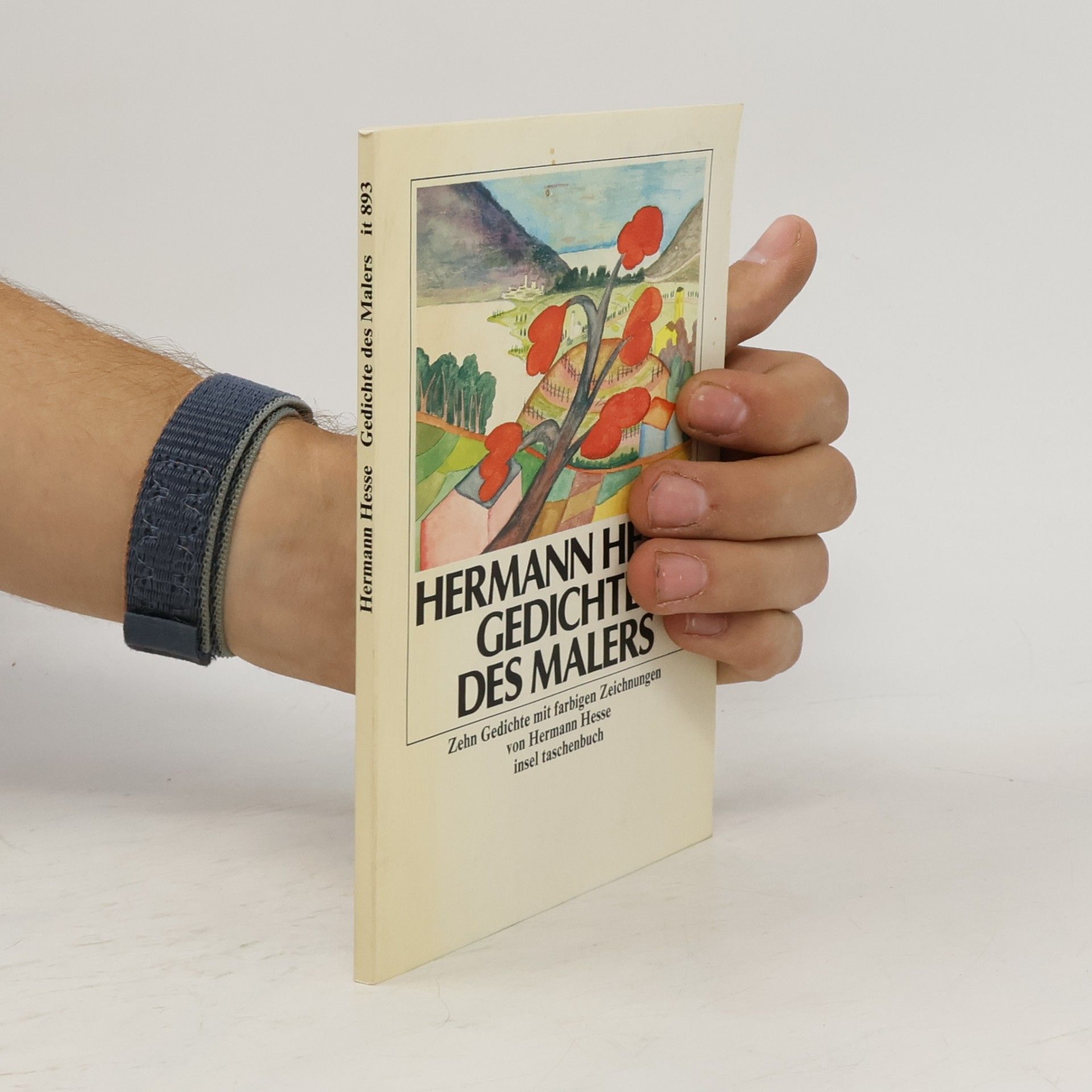 Hermann Hesse Gedichte des Malers