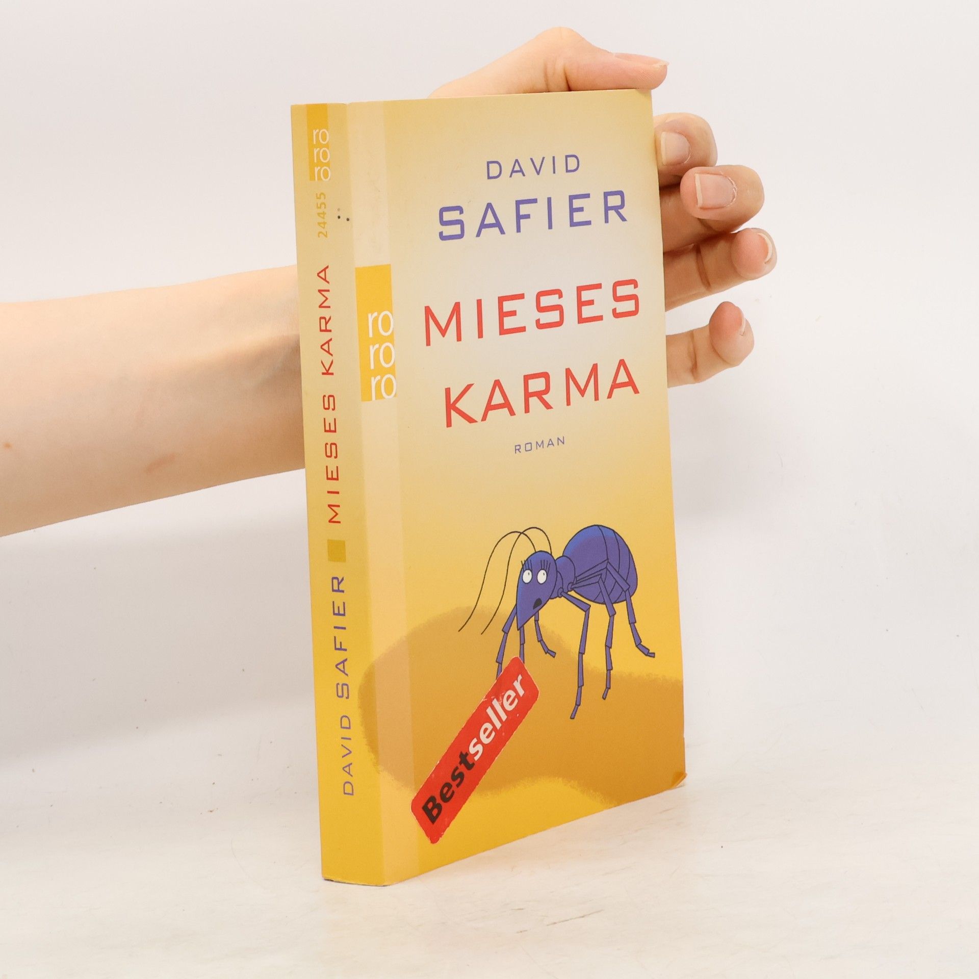 David Safier Mieses Karma