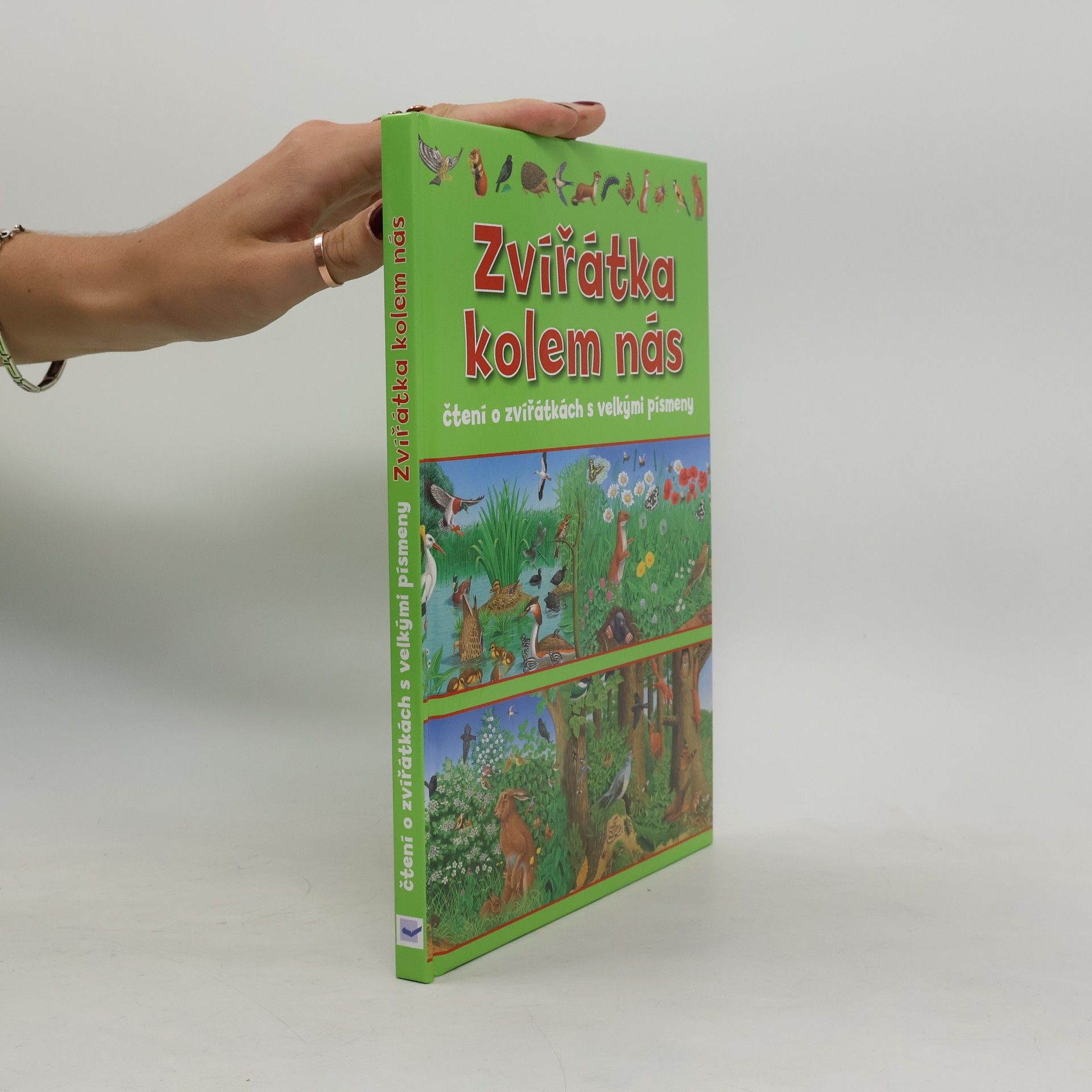 Autorenkollektiv Zvířátka kolem nás : čtení o zvířátkách s velkými písmeny
