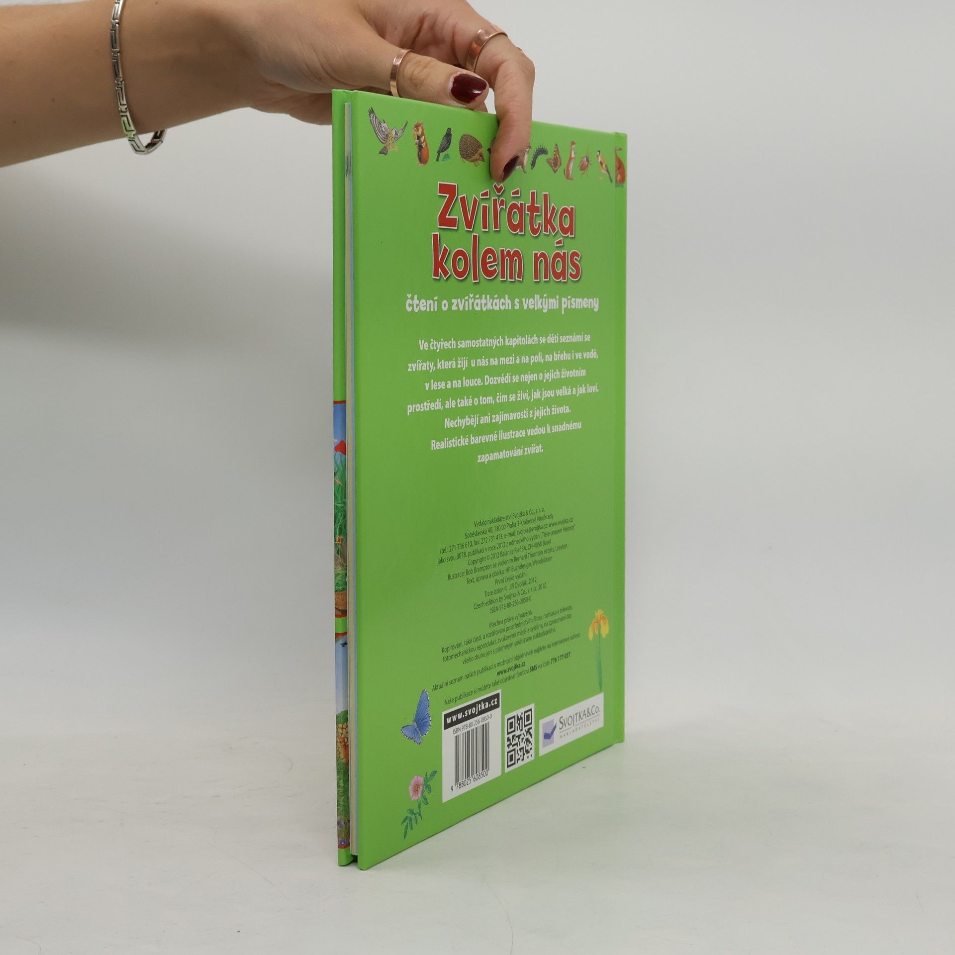 Autorenkollektiv Zvířátka kolem nás : čtení o zvířátkách s velkými písmeny