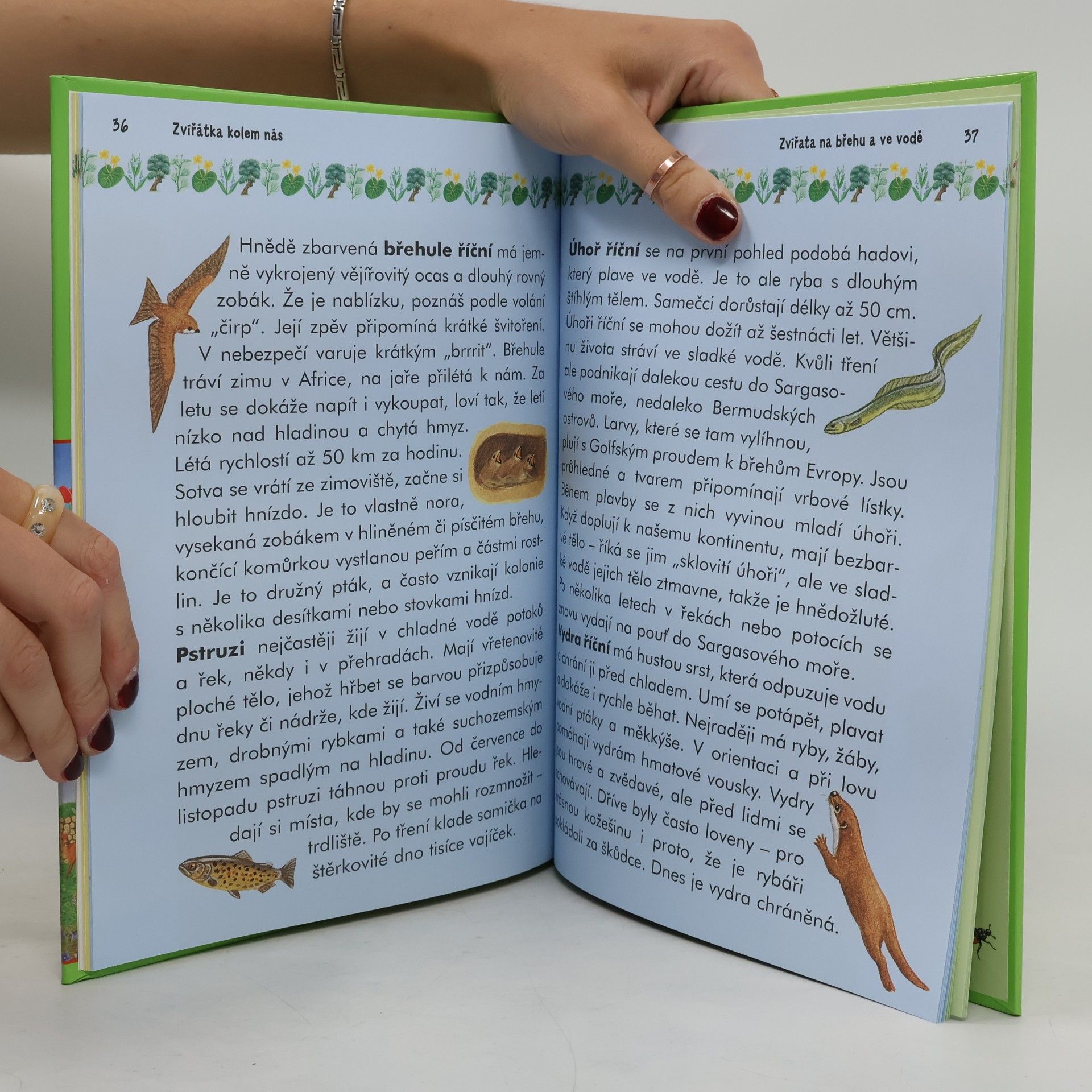 Autorenkollektiv Zvířátka kolem nás : čtení o zvířátkách s velkými písmeny
