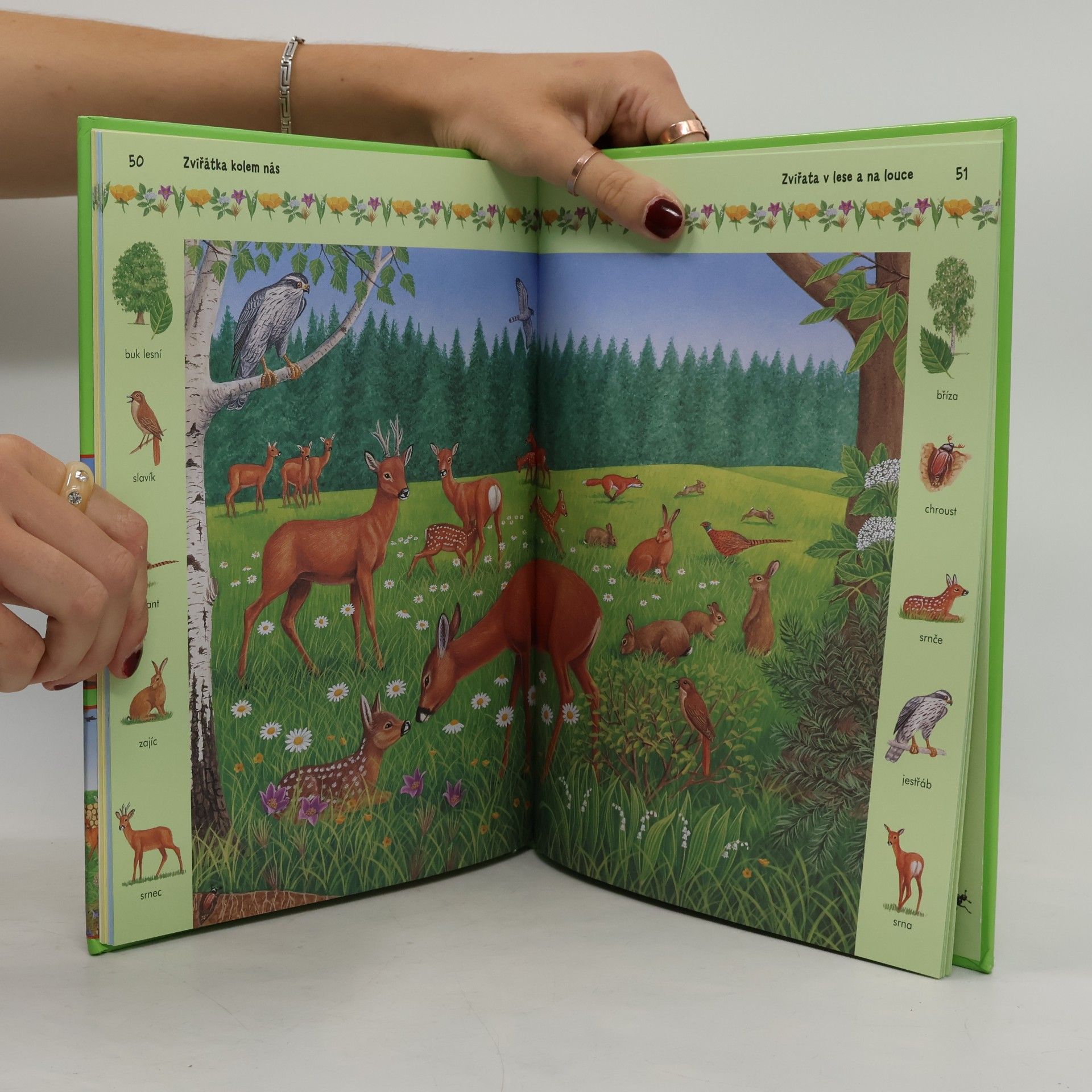 Various authors Zvířátka kolem nás : čtení o zvířátkách s velkými písmeny