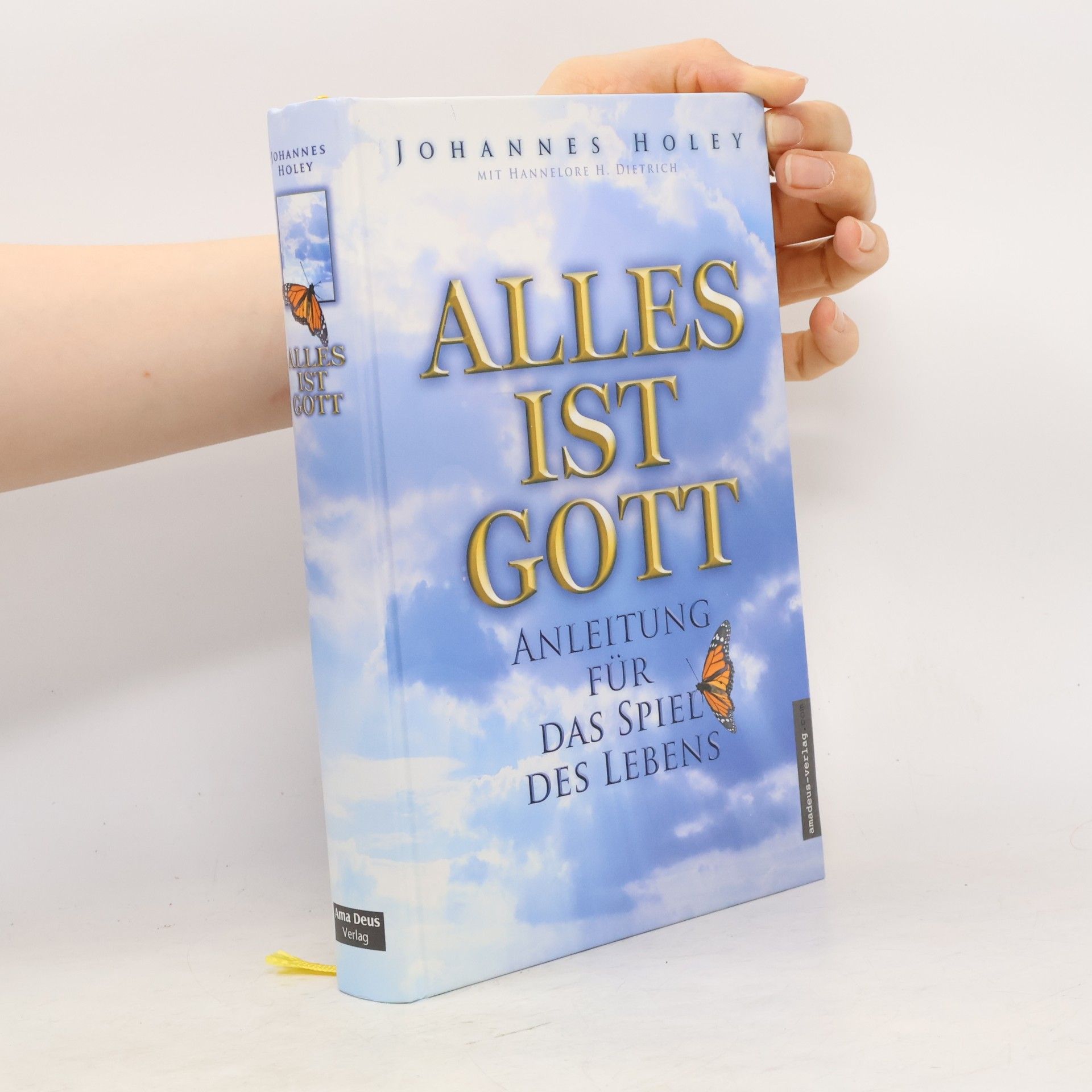 Johannes Holey Alles ist Gott
