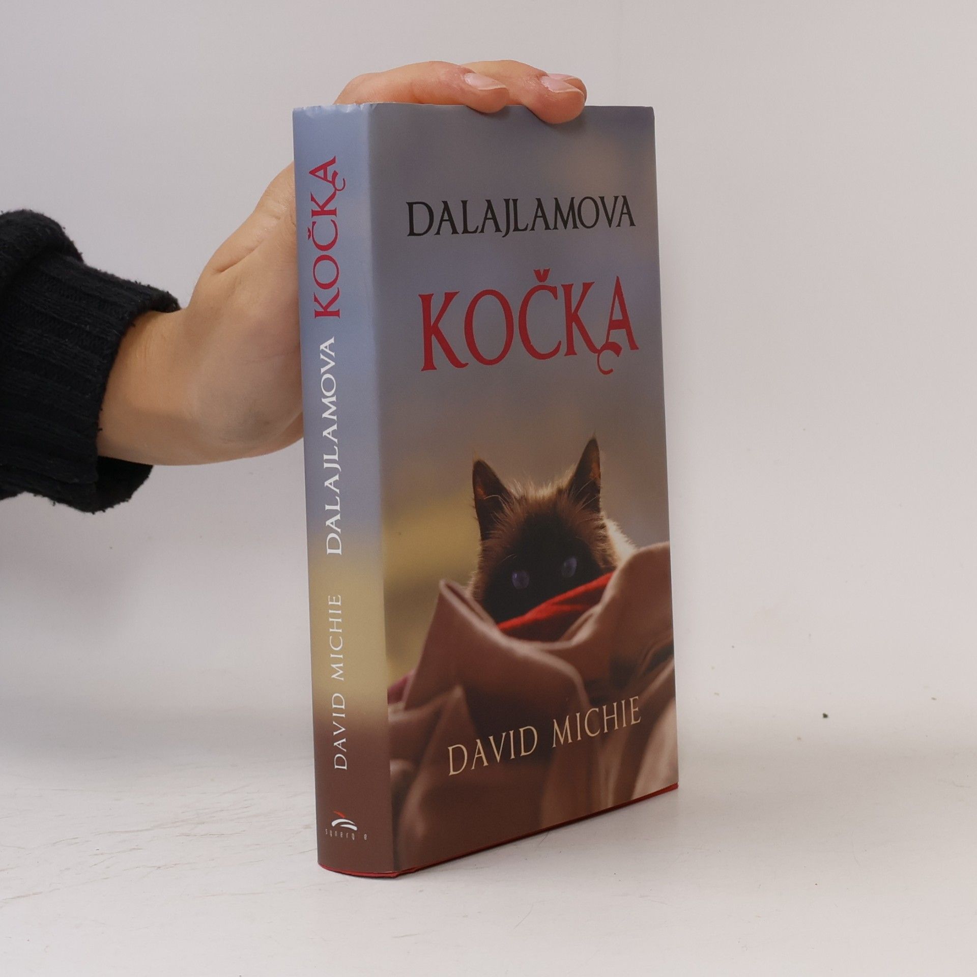 David Michie Dalajlamova kočka