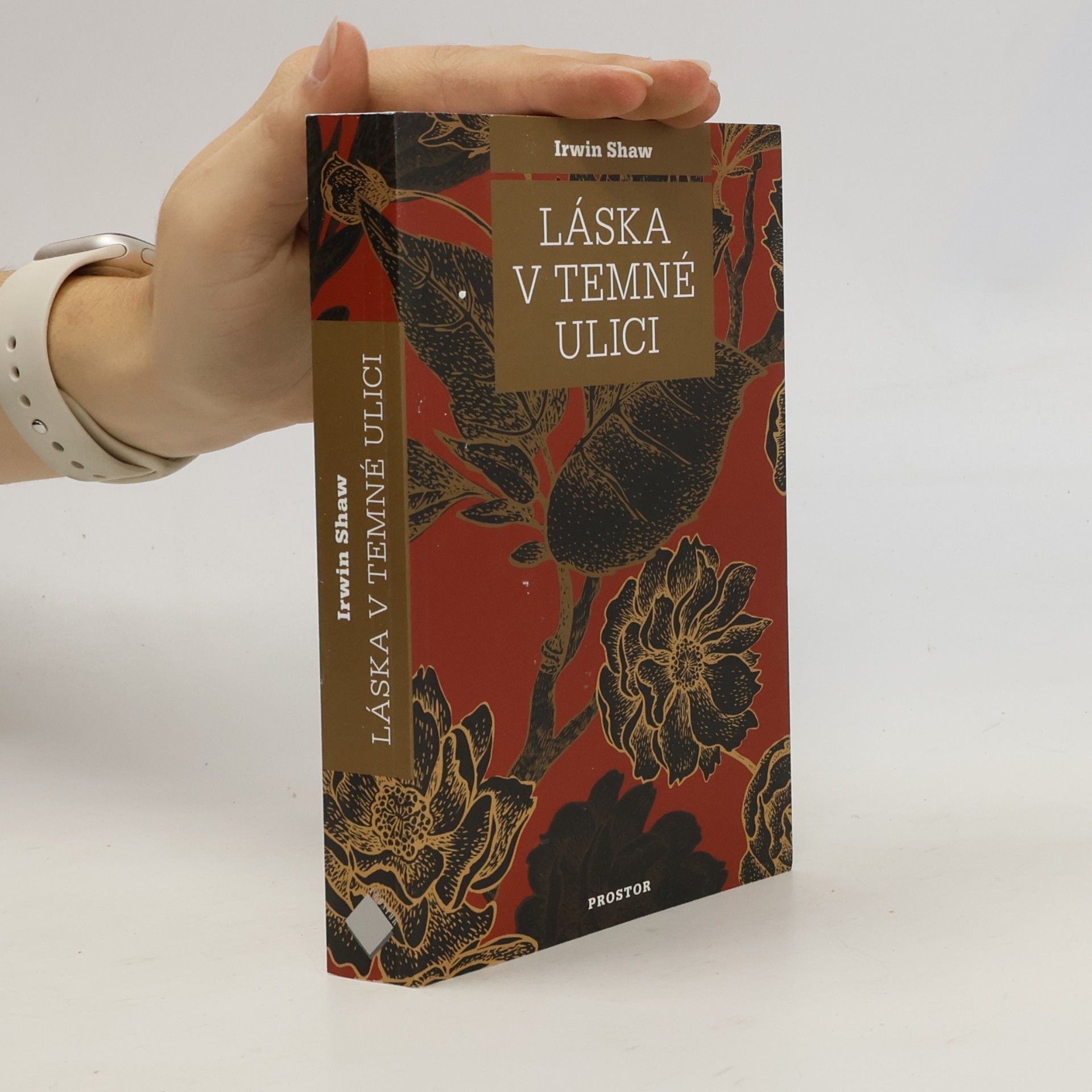 Irwin Shaw Láska v temné ulici