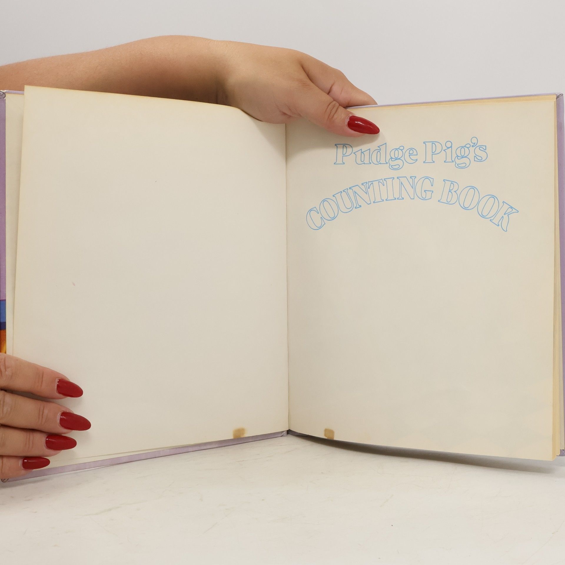 Amye Rosenberg Pudge Pig's Counting Book