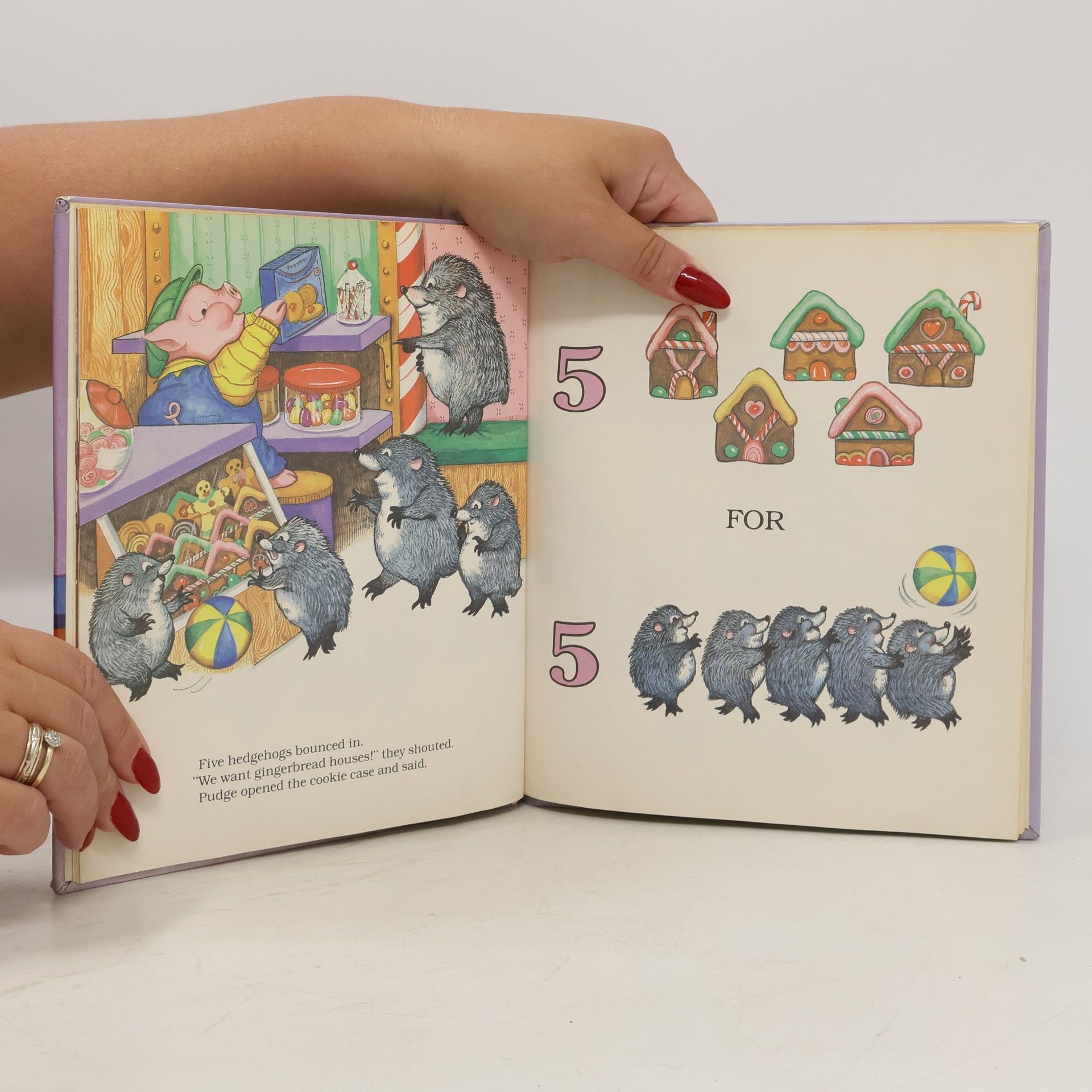 Amye Rosenberg Pudge Pig's Counting Book