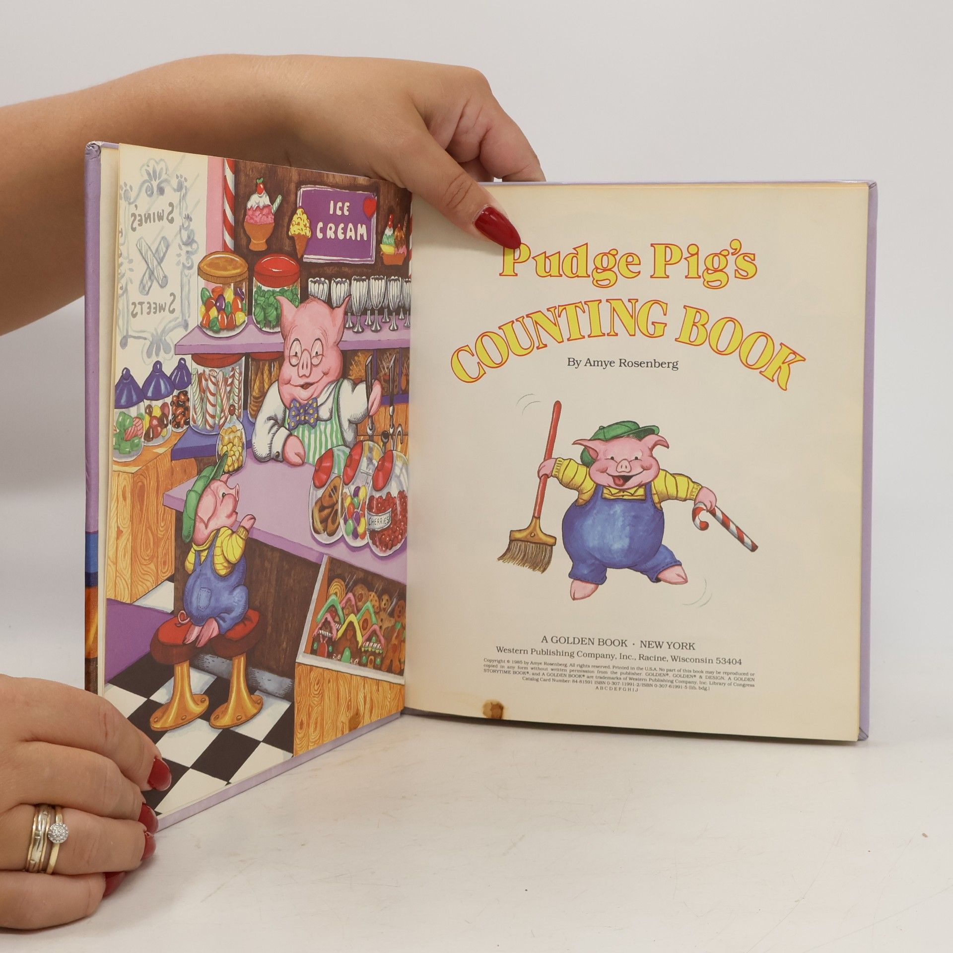 Amye Rosenberg Pudge Pig's Counting Book