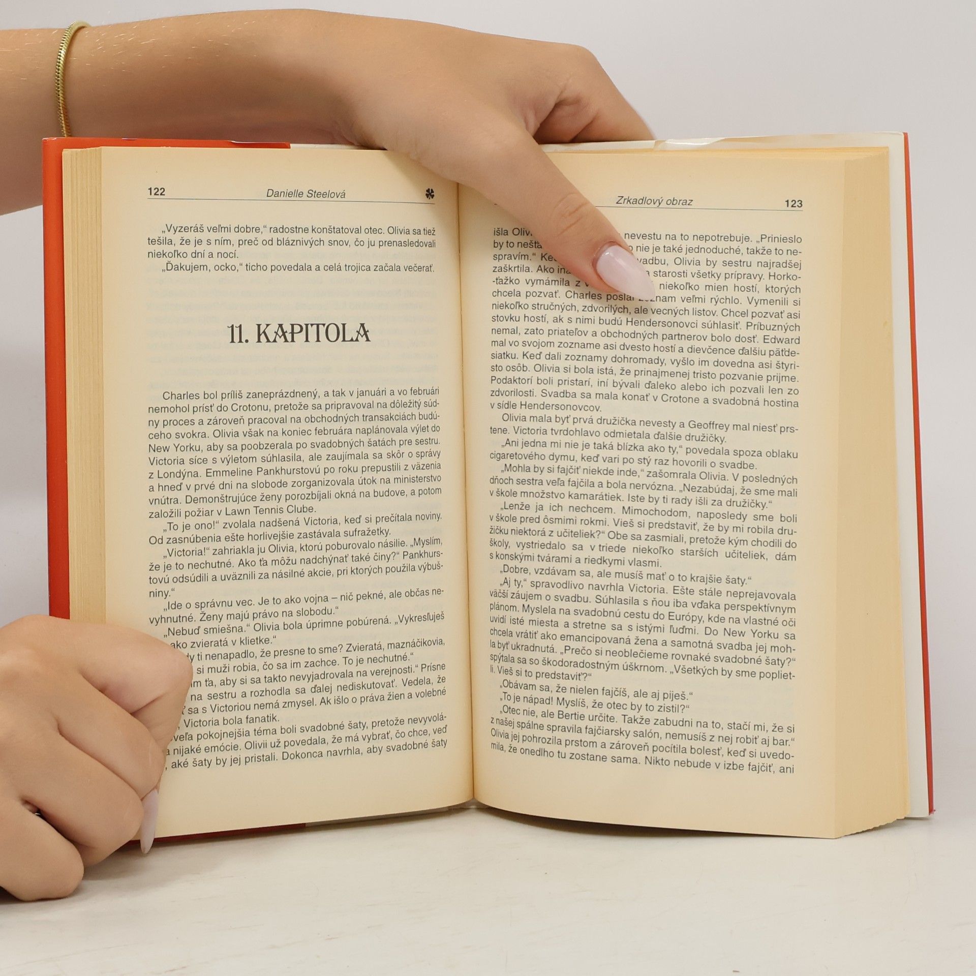 Danielle Steel Zrkadlový obraz