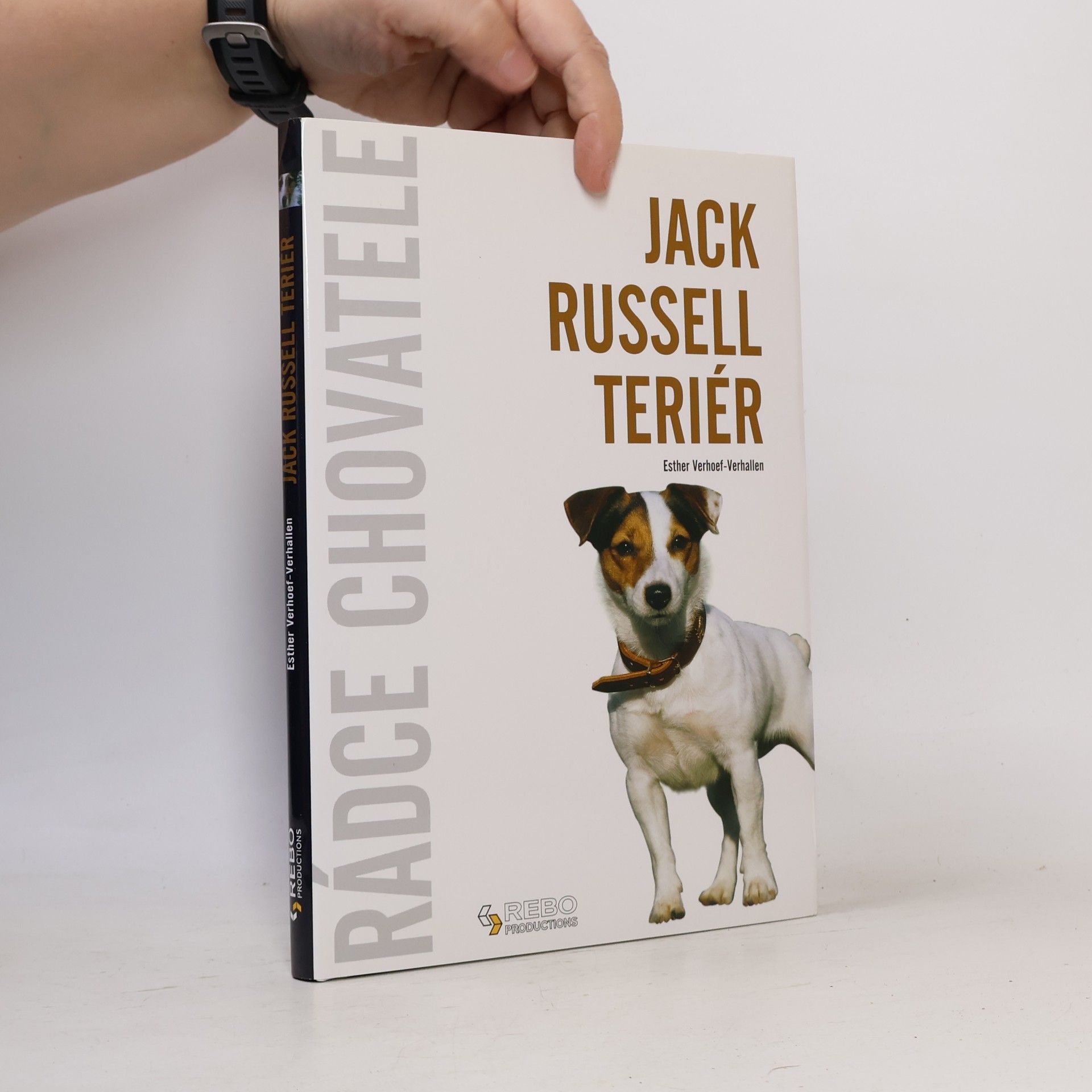 Berry Verhoef Jack Russell teriér