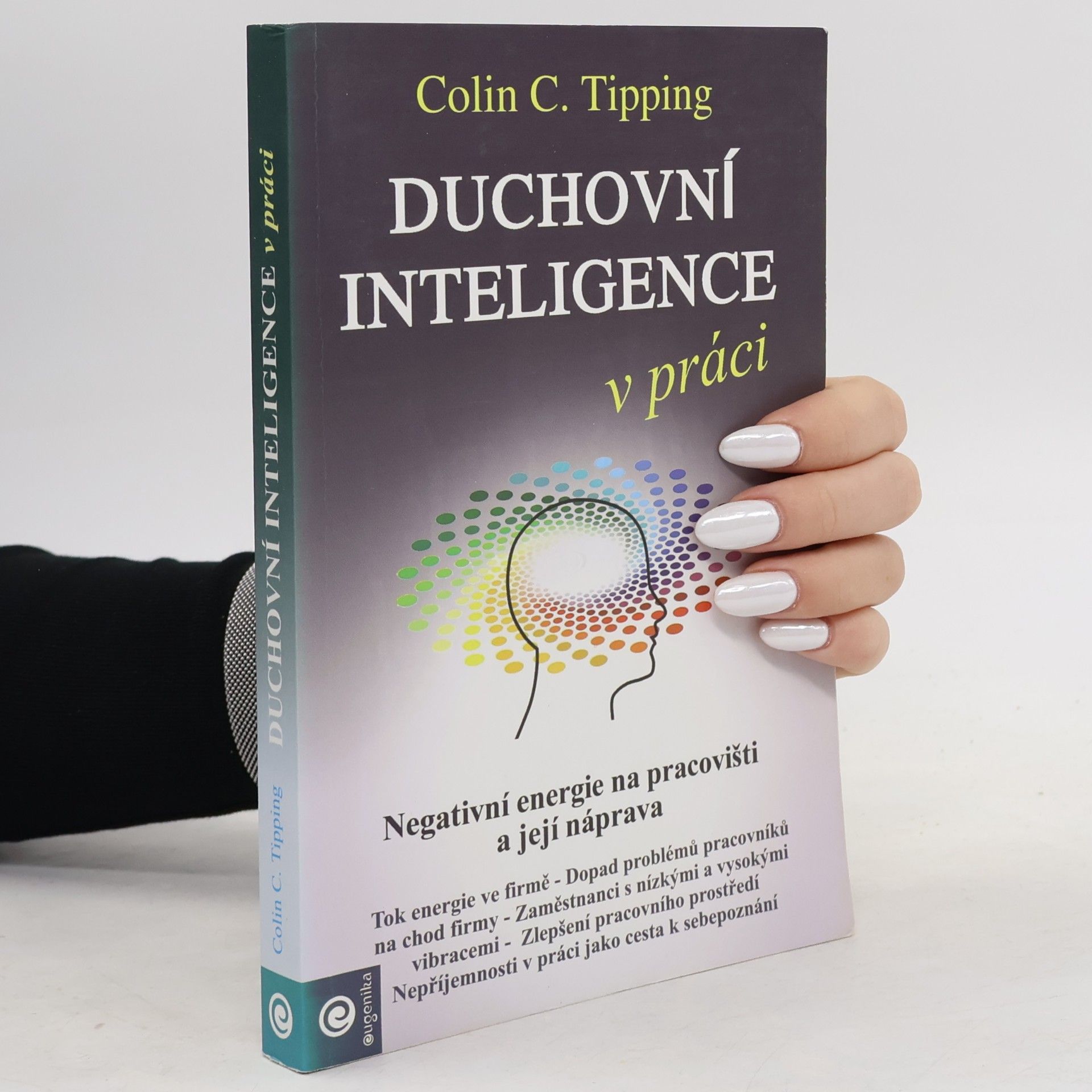 Colin Tipping Duchovní inteligence v práci