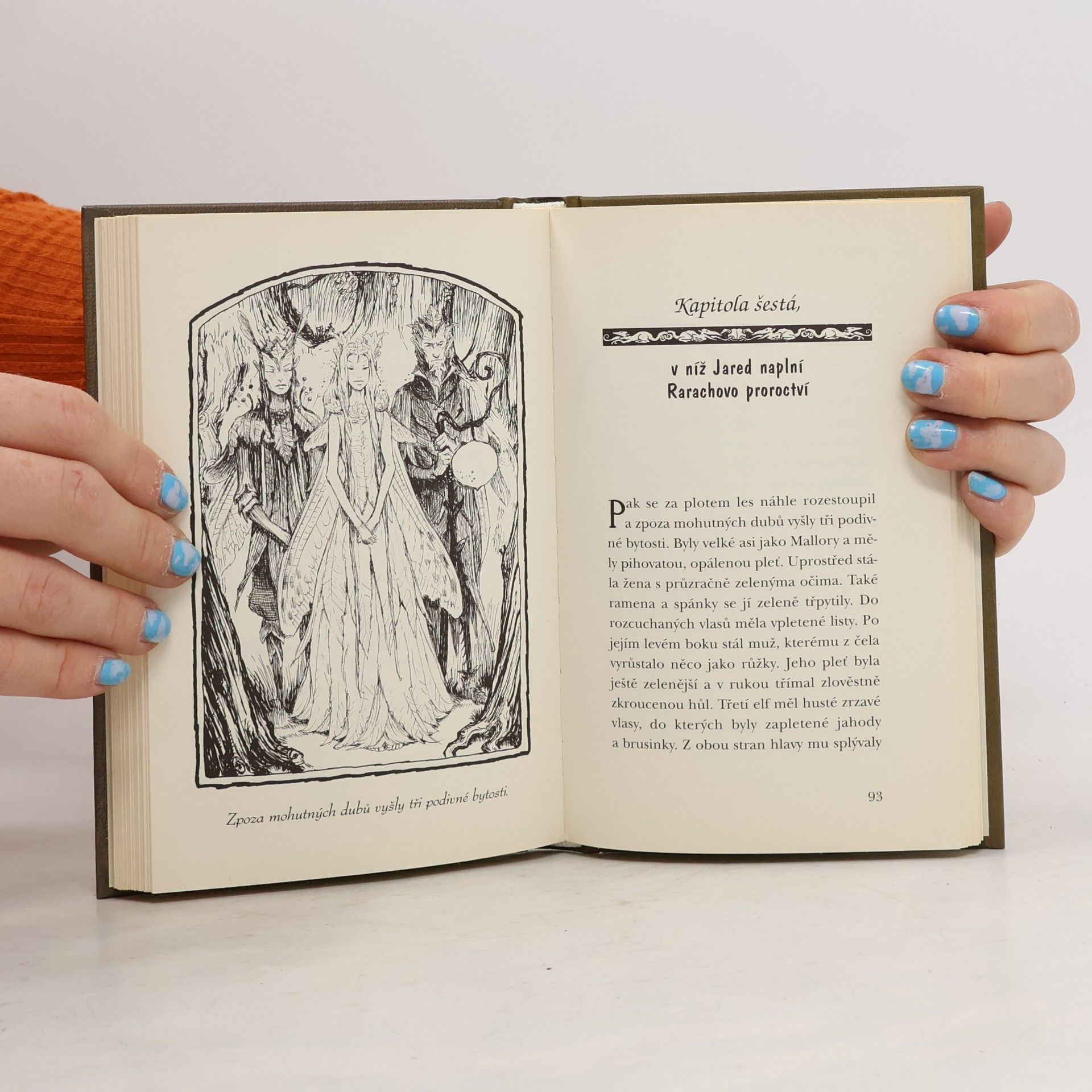 Tony DiTerlizzi Kronika rodu Spiderwicků. Kniha 3, Tajemství tety Lucindy