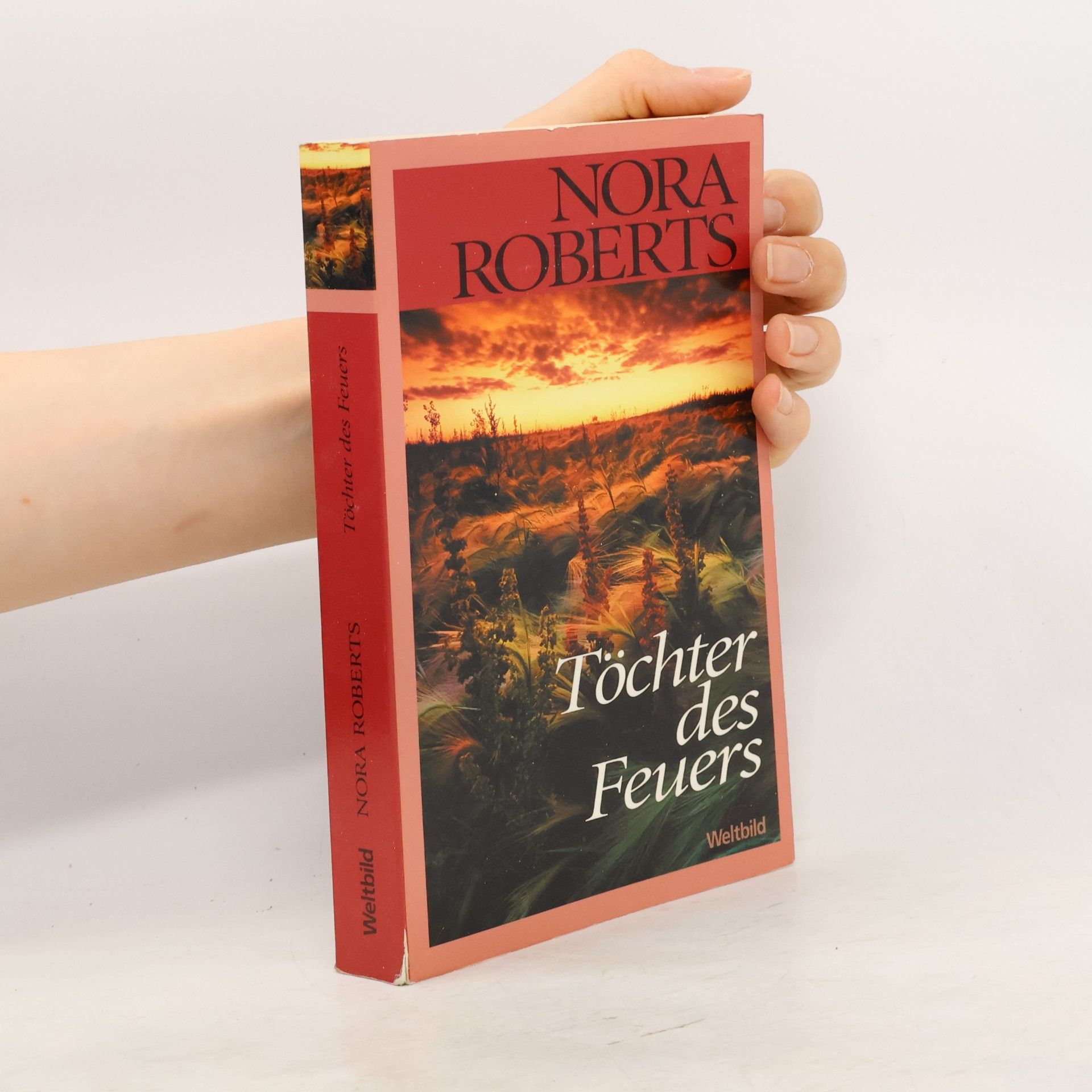 Nora Roberts Töchter des Feuers