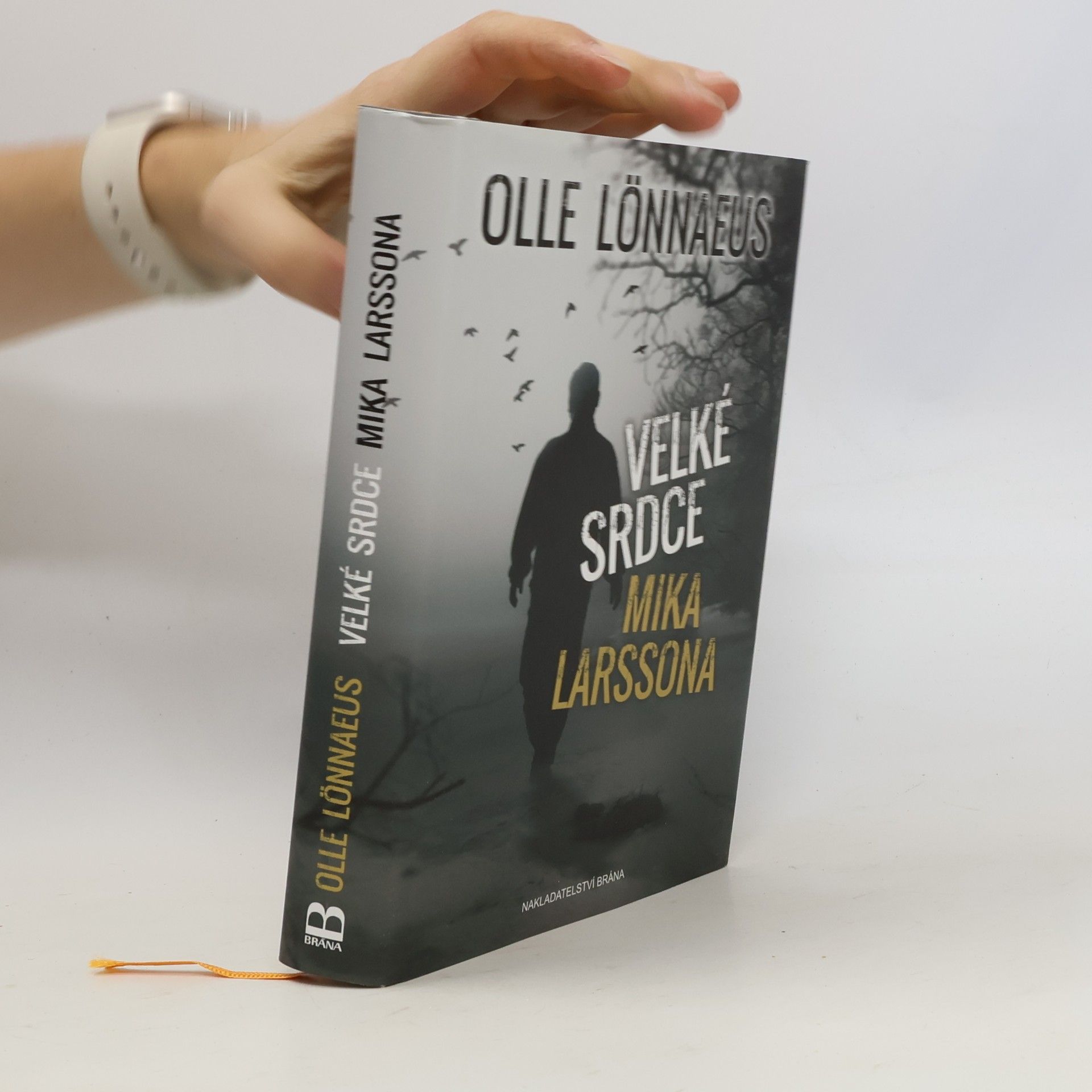 Olle Lönnaeus Velké srdce Mika Larssona