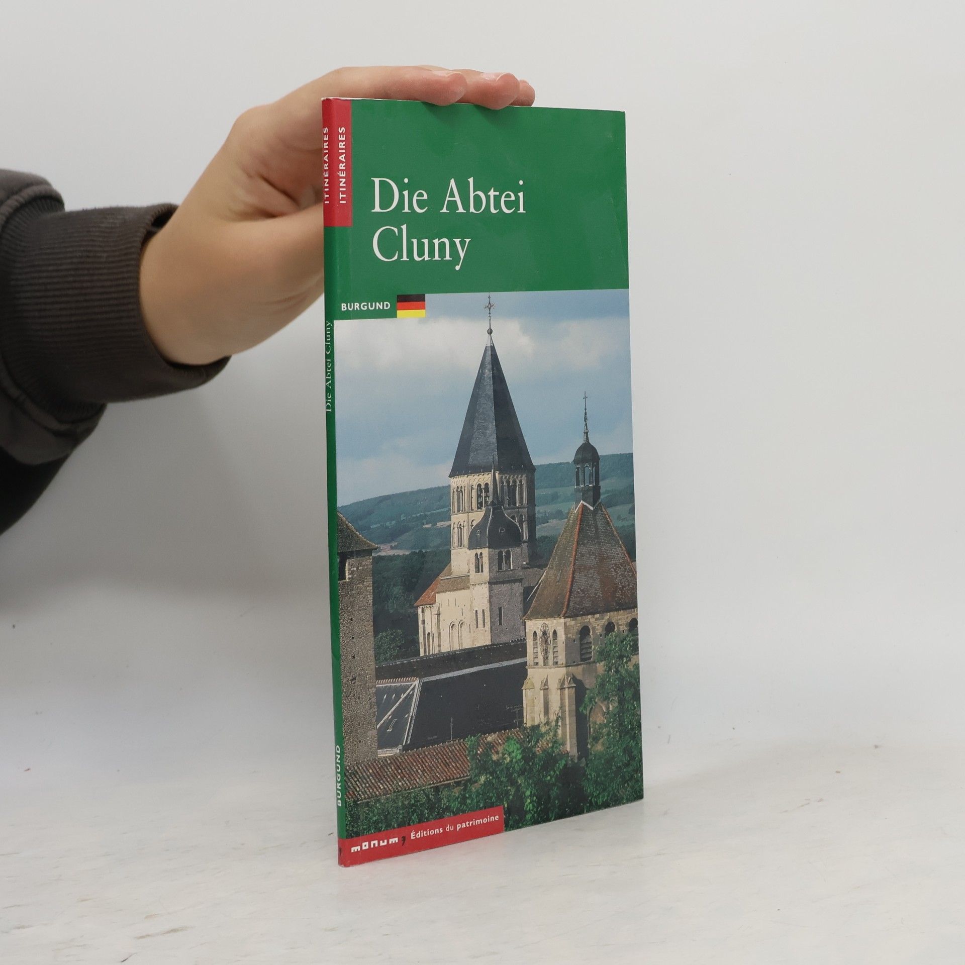 Jean-Denis Salvèque Die Abtei Cluny