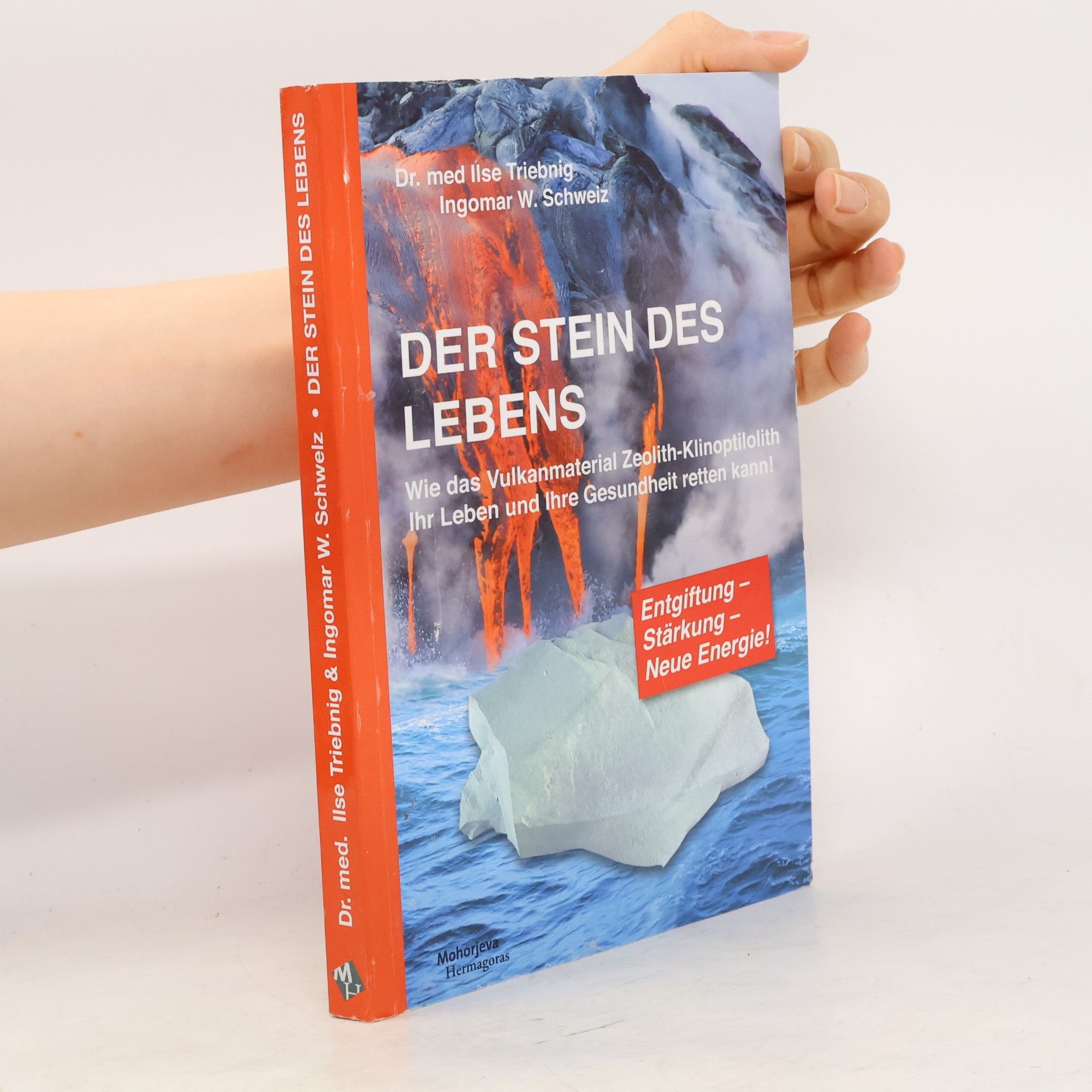Ilse Triebnig Der Stein des Lebens