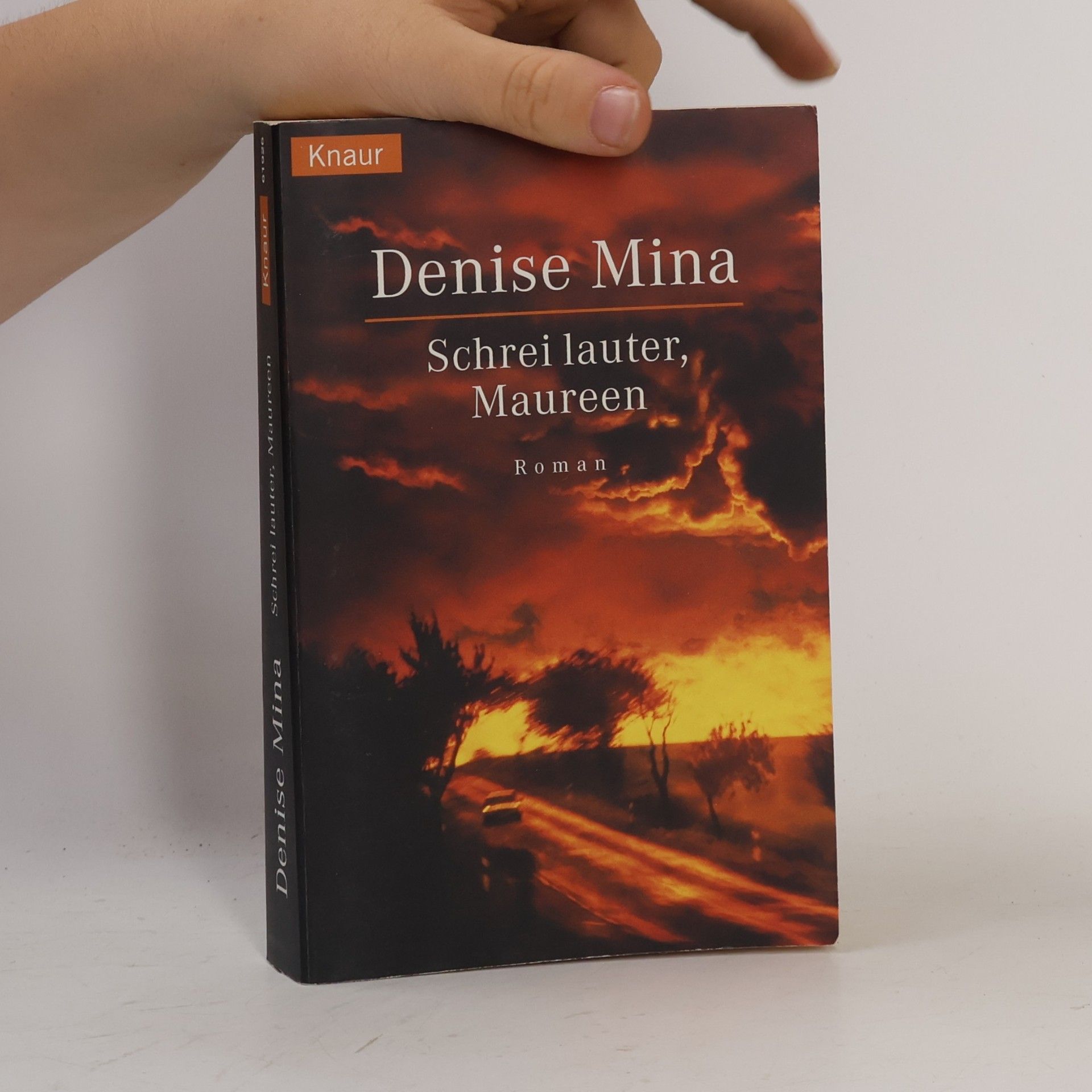 Denise Mina Schrei lauter, Maureen