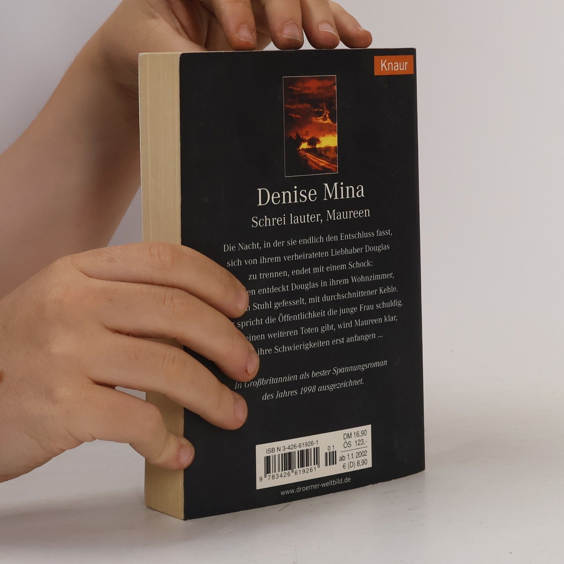 Denise Mina Schrei lauter, Maureen
