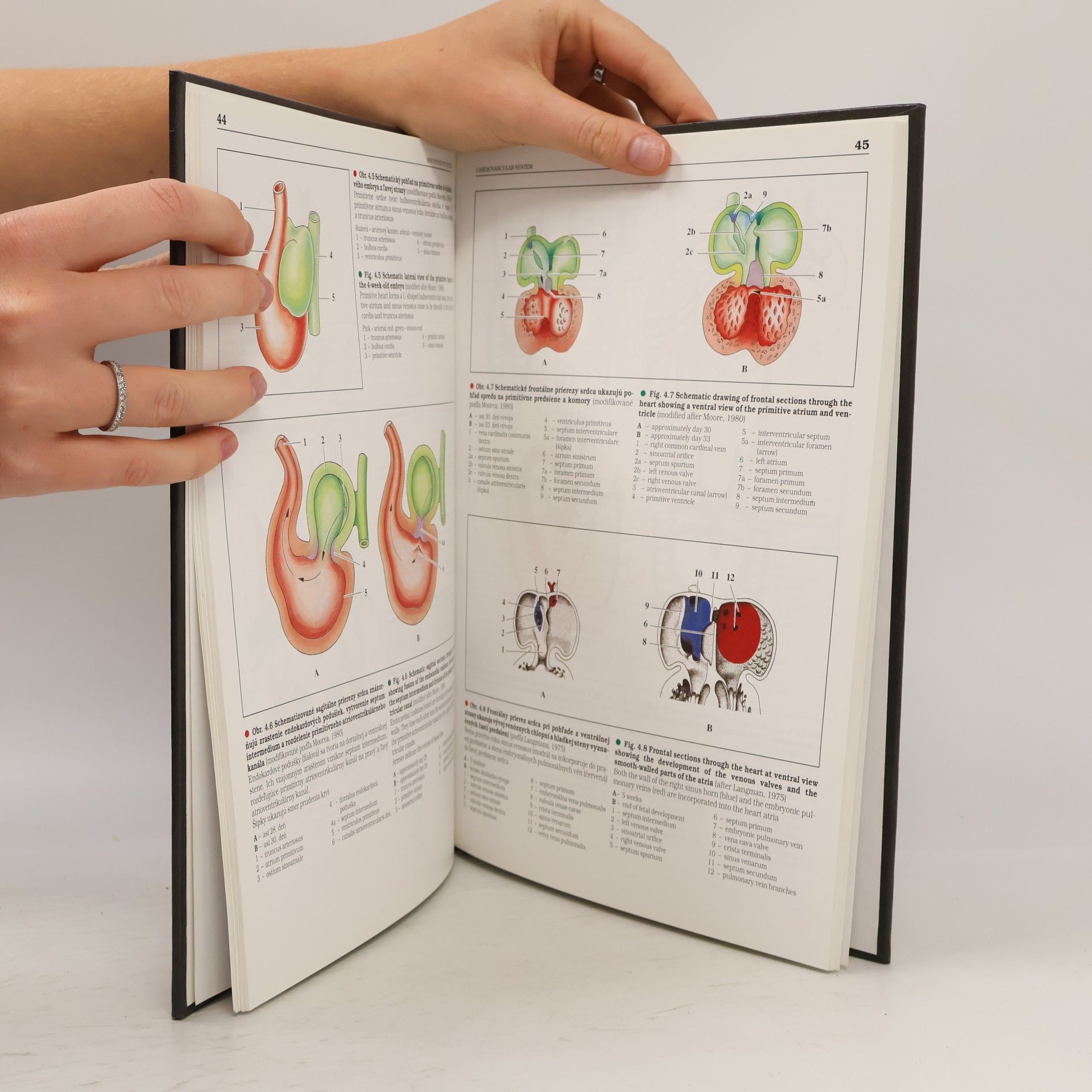 Karol Kapeller Embryologický atlas, Atlas of embryology