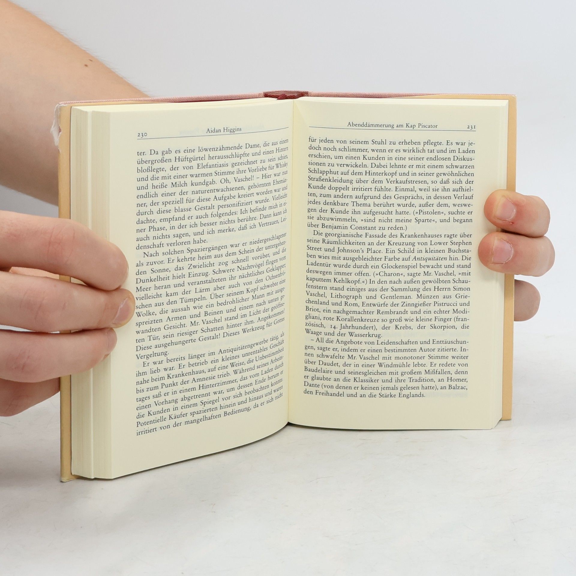 Hans-Christian Oeser Irische Short Stories des 20. Jahrhunderts