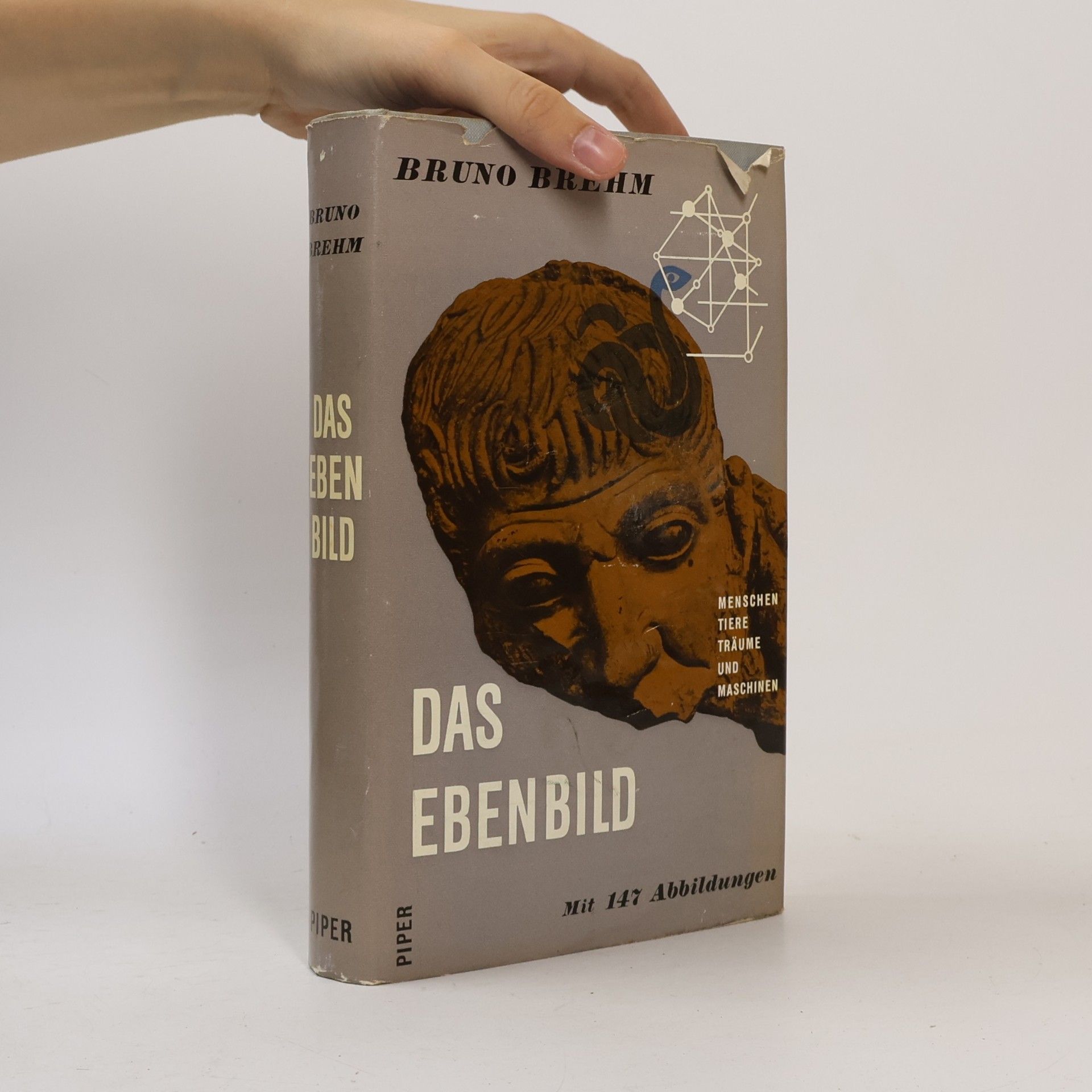 Das Ebenbild