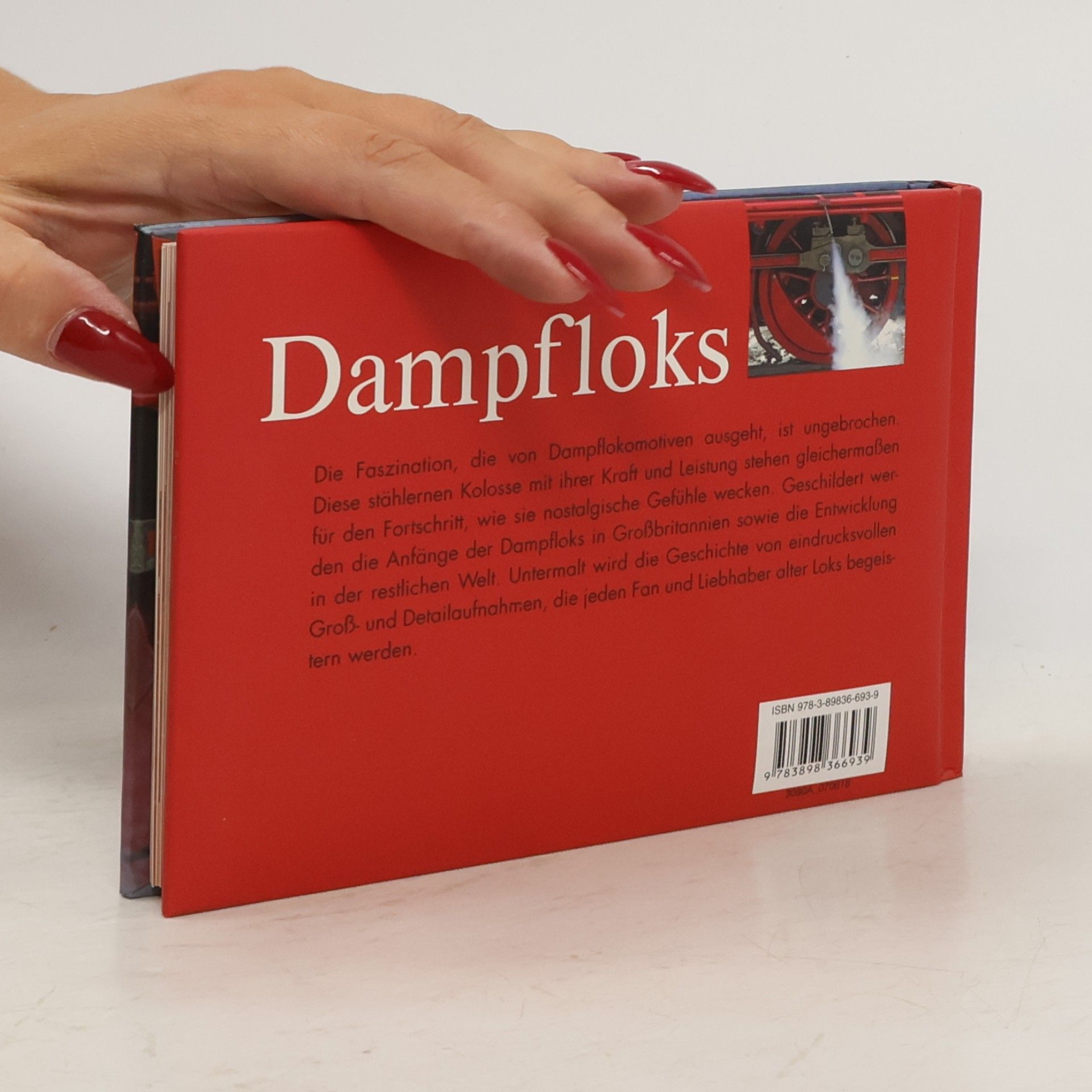 Torsten Berndt Dampfloks