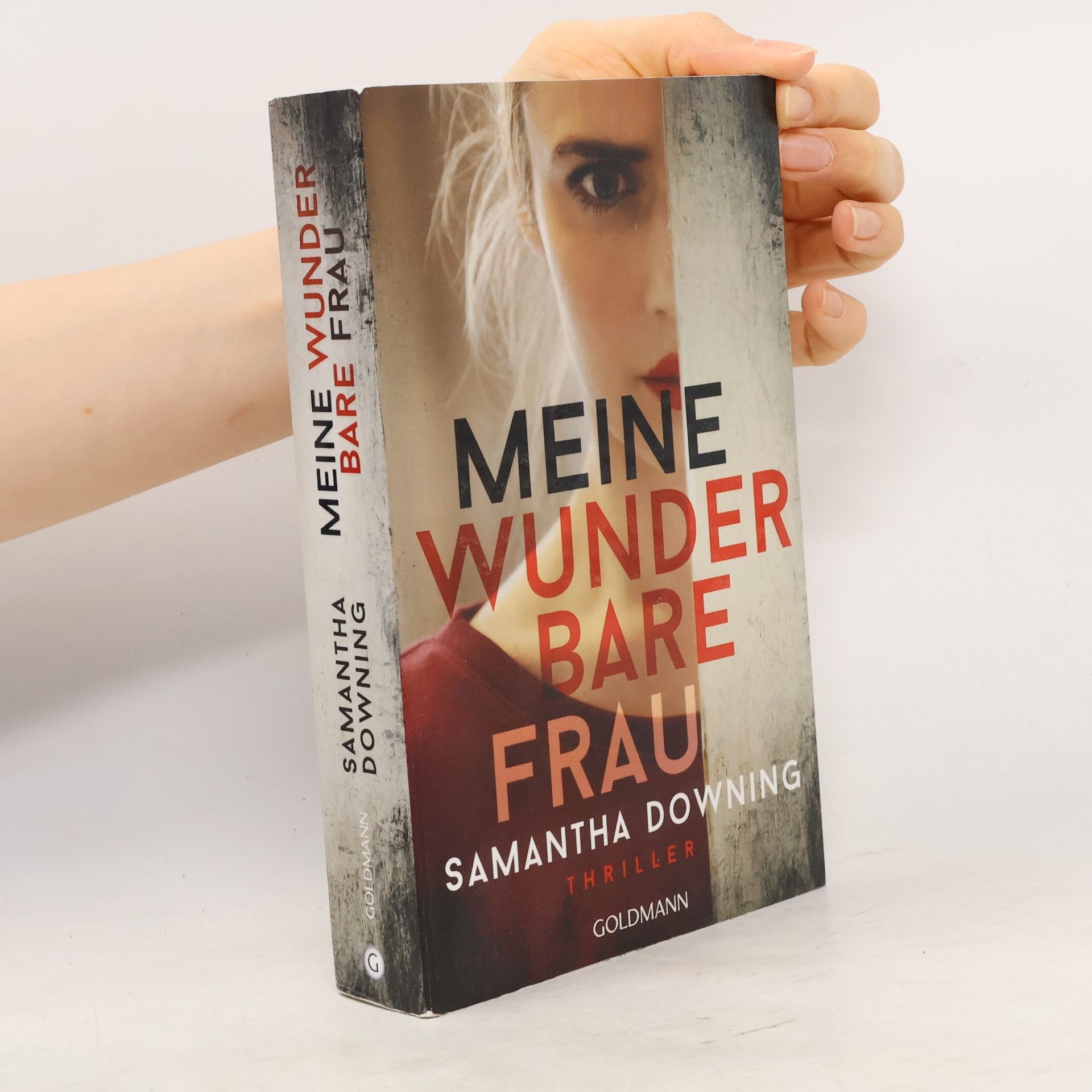 Samantha Downing Meine wunderbare Frau