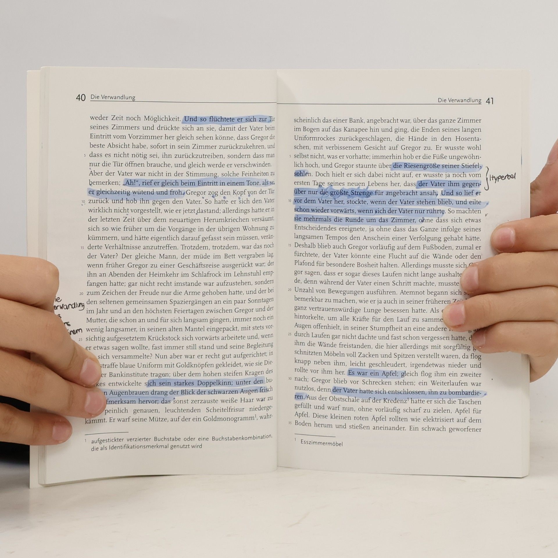 Franz Kafka Einfach Deutsch - Die Verwandlung; Brief an den Vater und weitere Werke